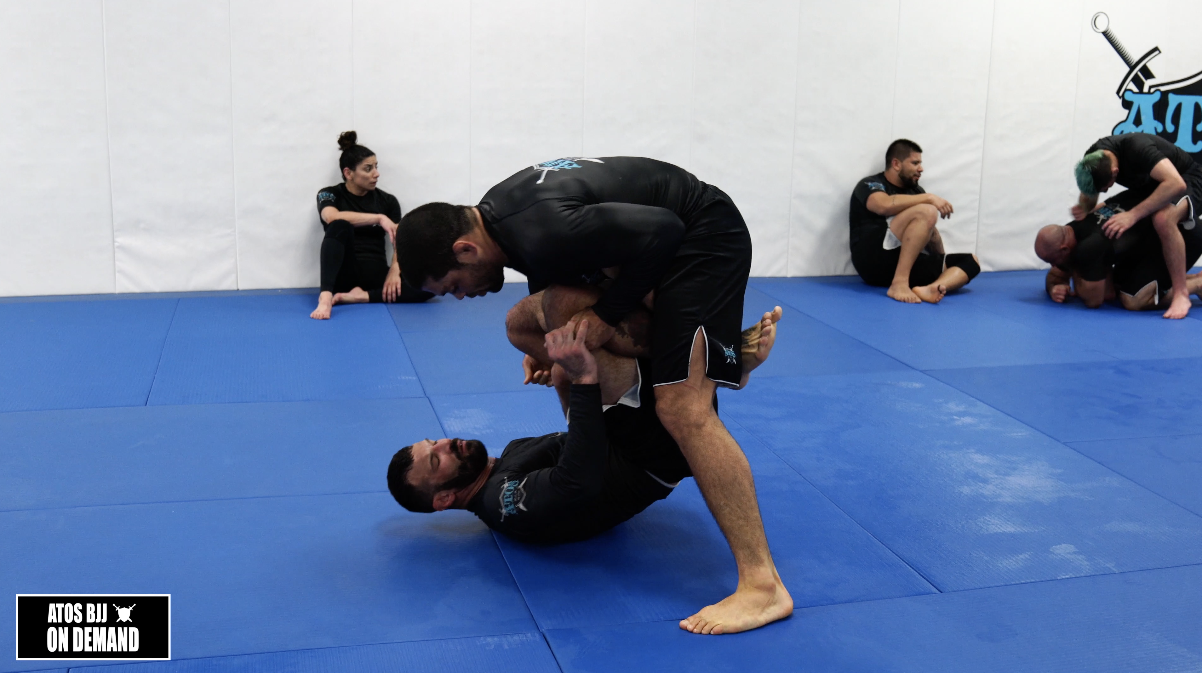 Andre Galvao vs Dan Matala