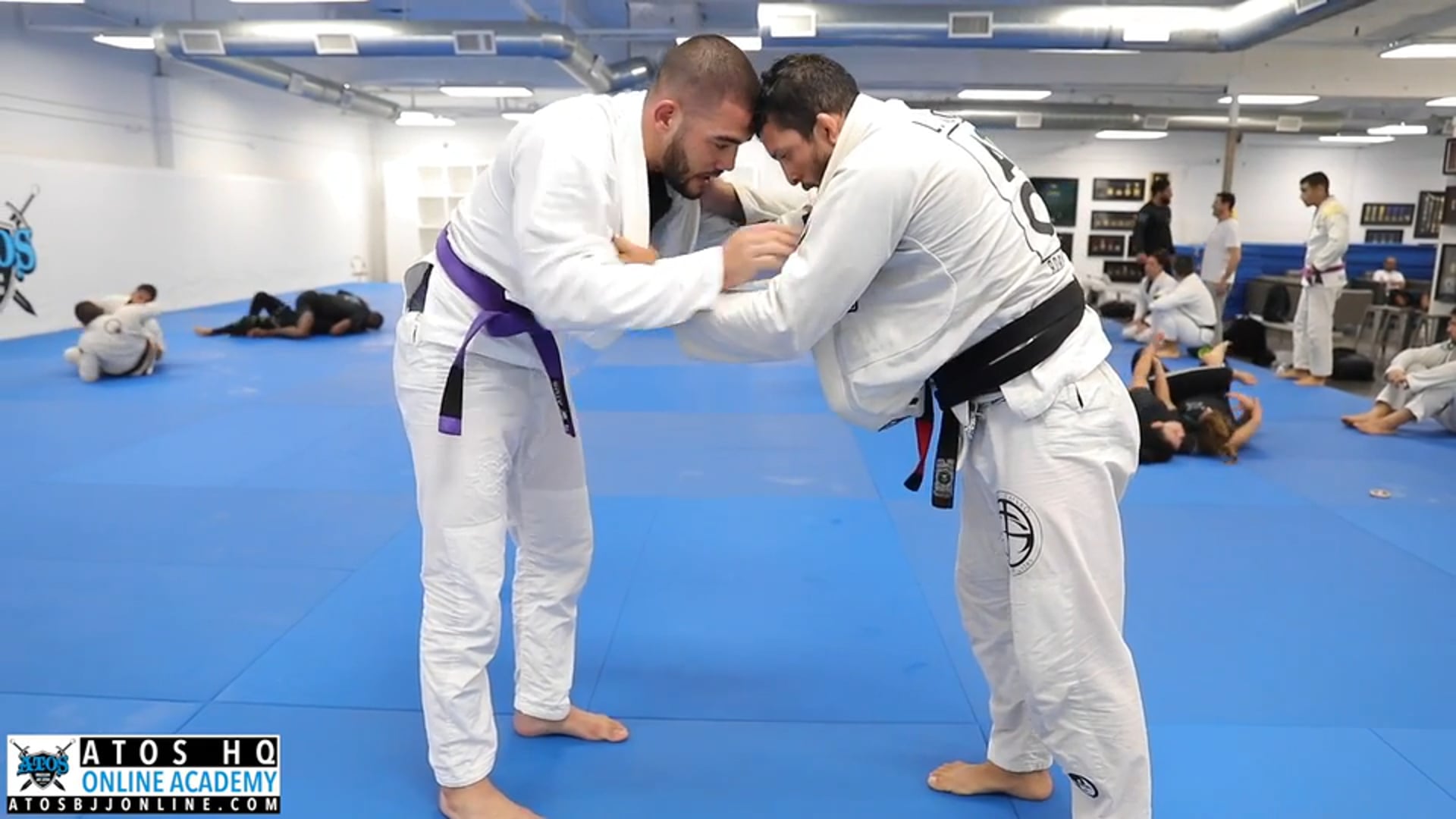 World Champion Lucas Barbosa vs Matheus Menezes (Purple Belt)