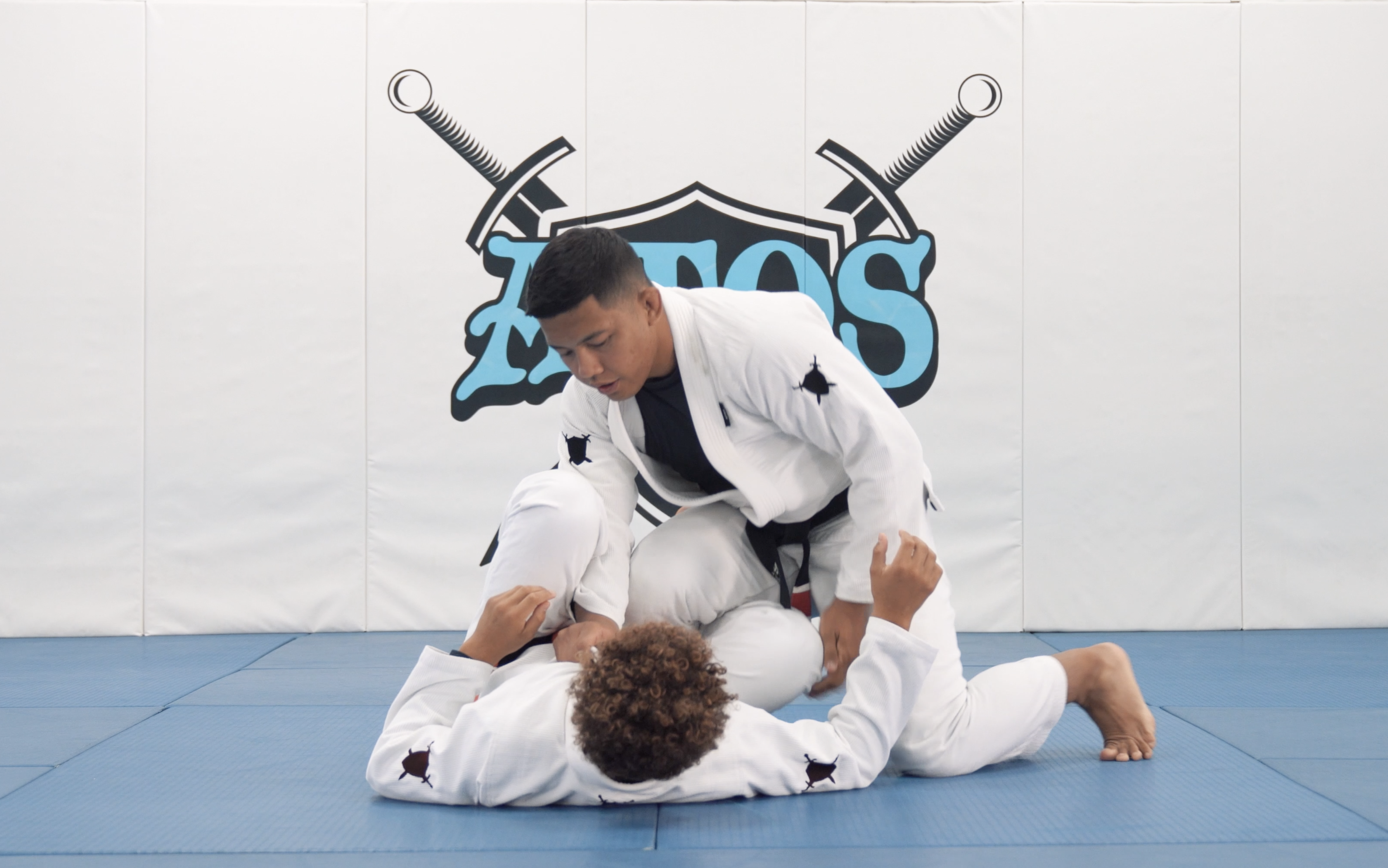 Passing Knee shield From Reverse DLR Guard