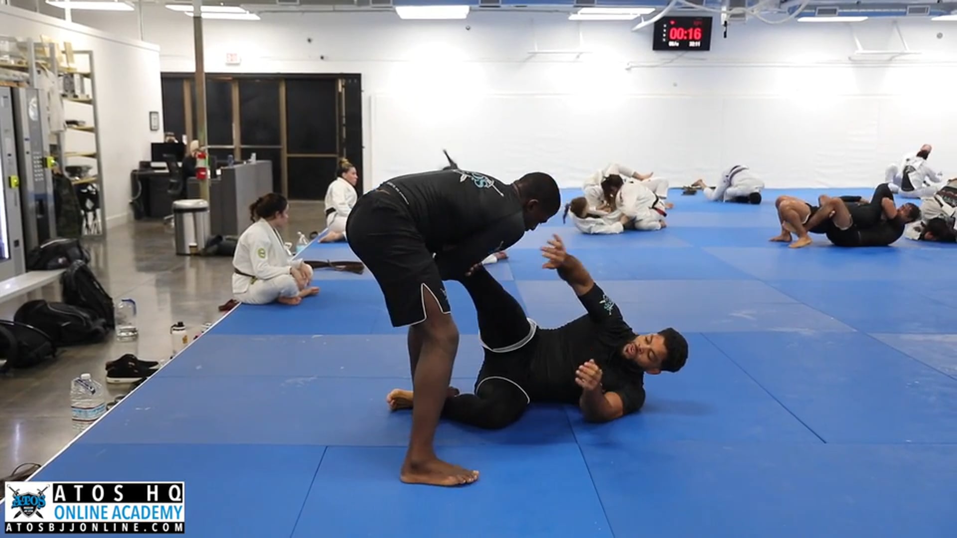 6x ADCC Champ Andre Galvao vs Human Highlight Reel Ronaldo Jr.