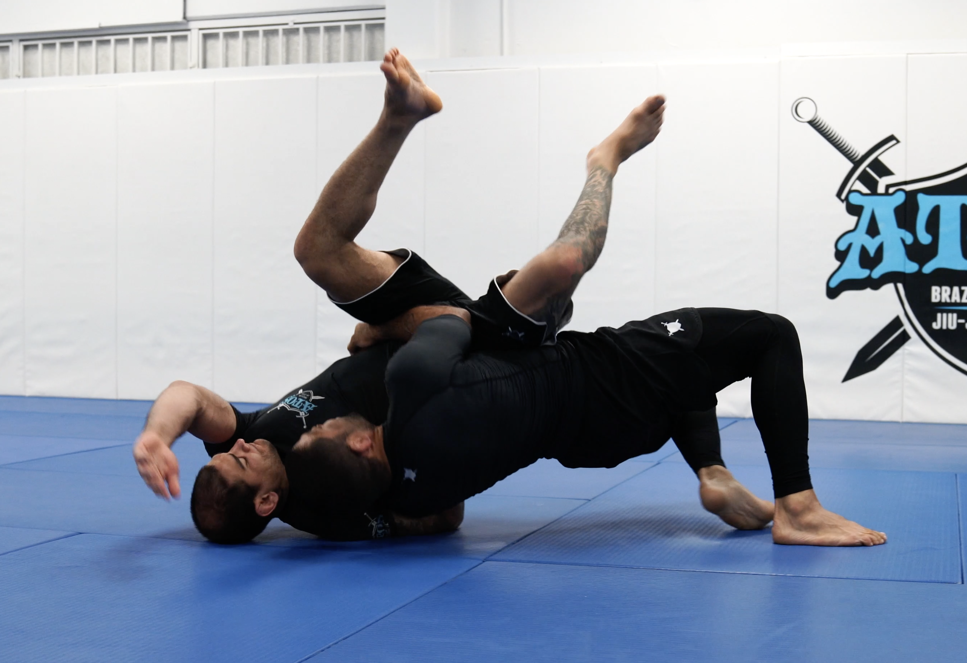 Coyote Guard - Body Lock Concepts