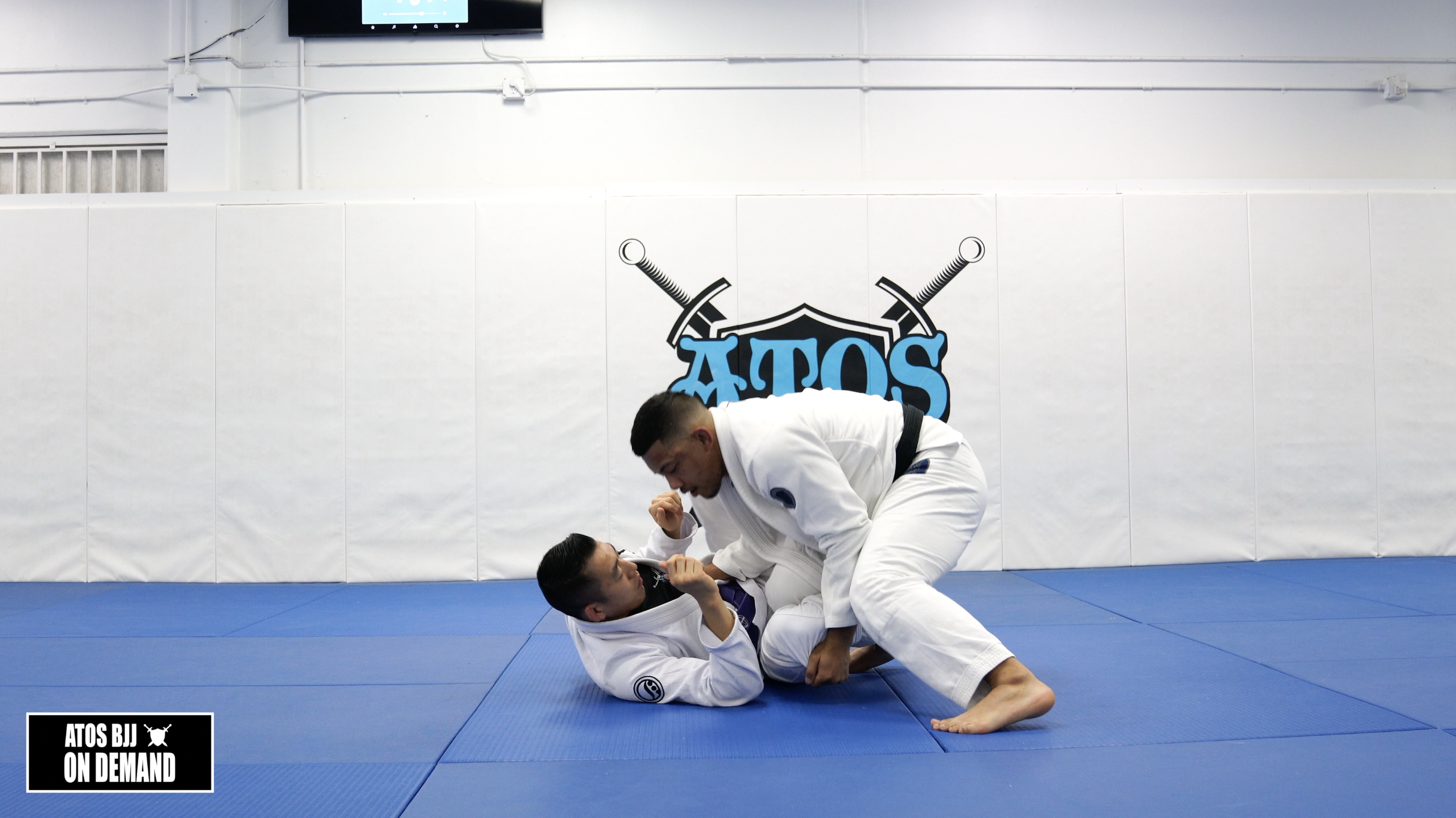 Shin Slice Pass | Review