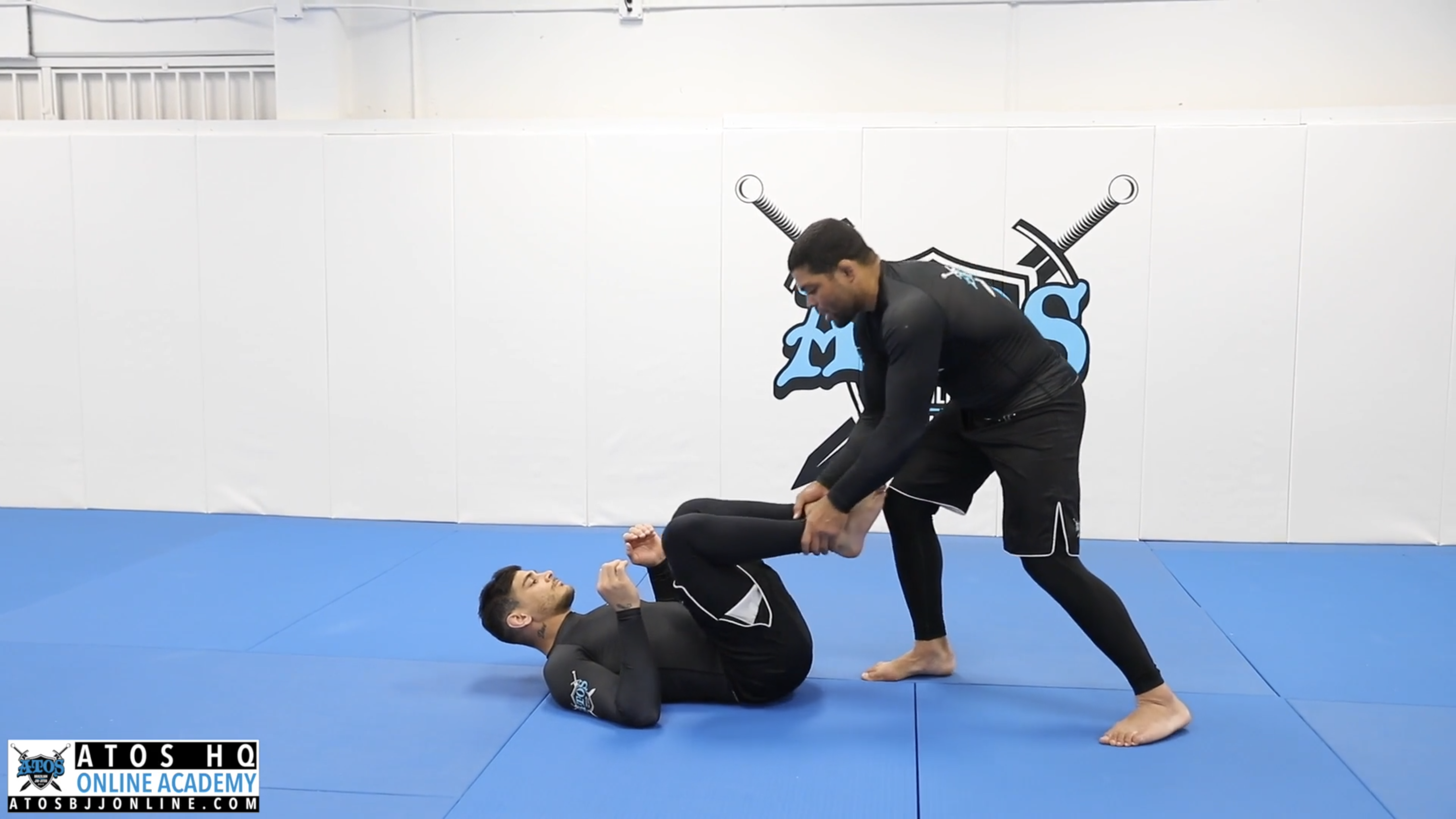 Toreando pass to armbar