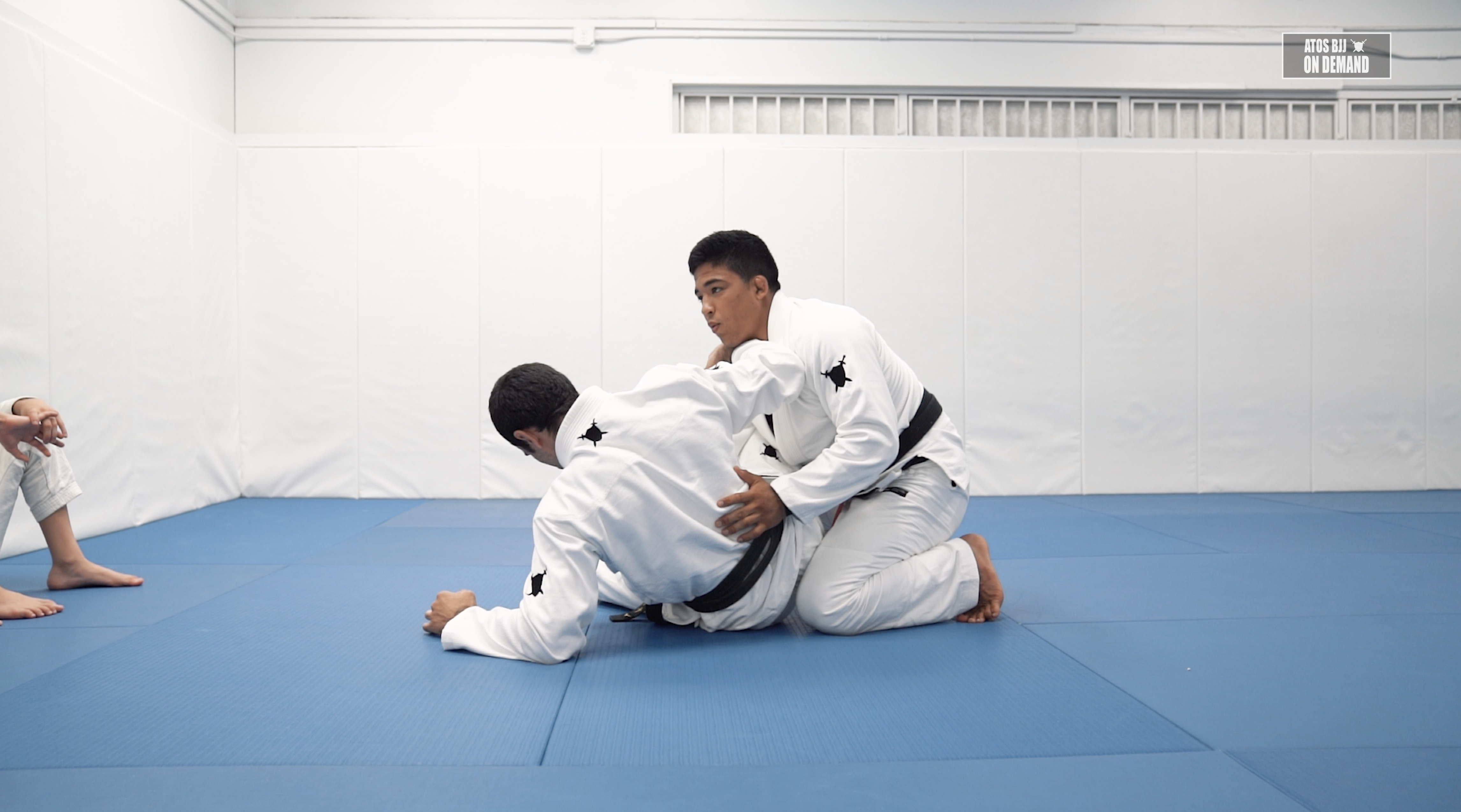 Passing Drills from De La Riva Guard - Part 2 | Kids Class