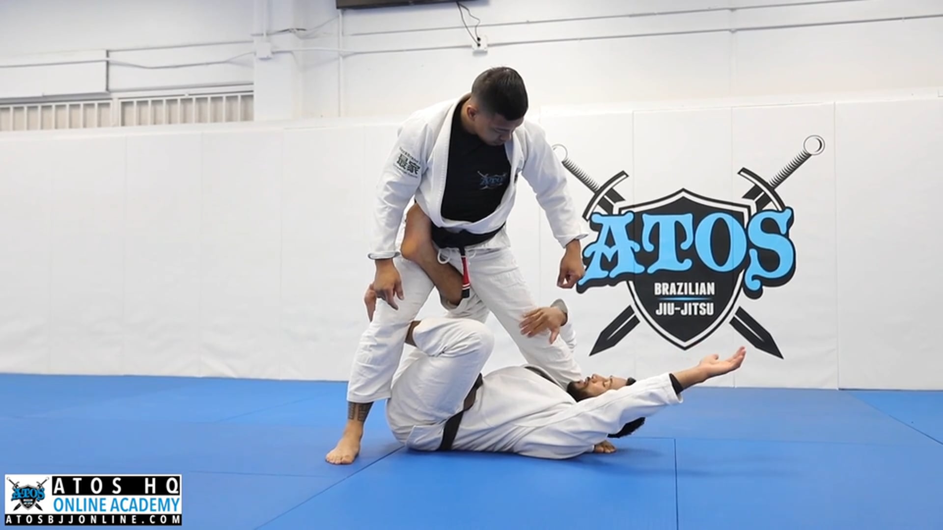 X Guard Bass Drop Sweep From Reverse DLR Spider Guard