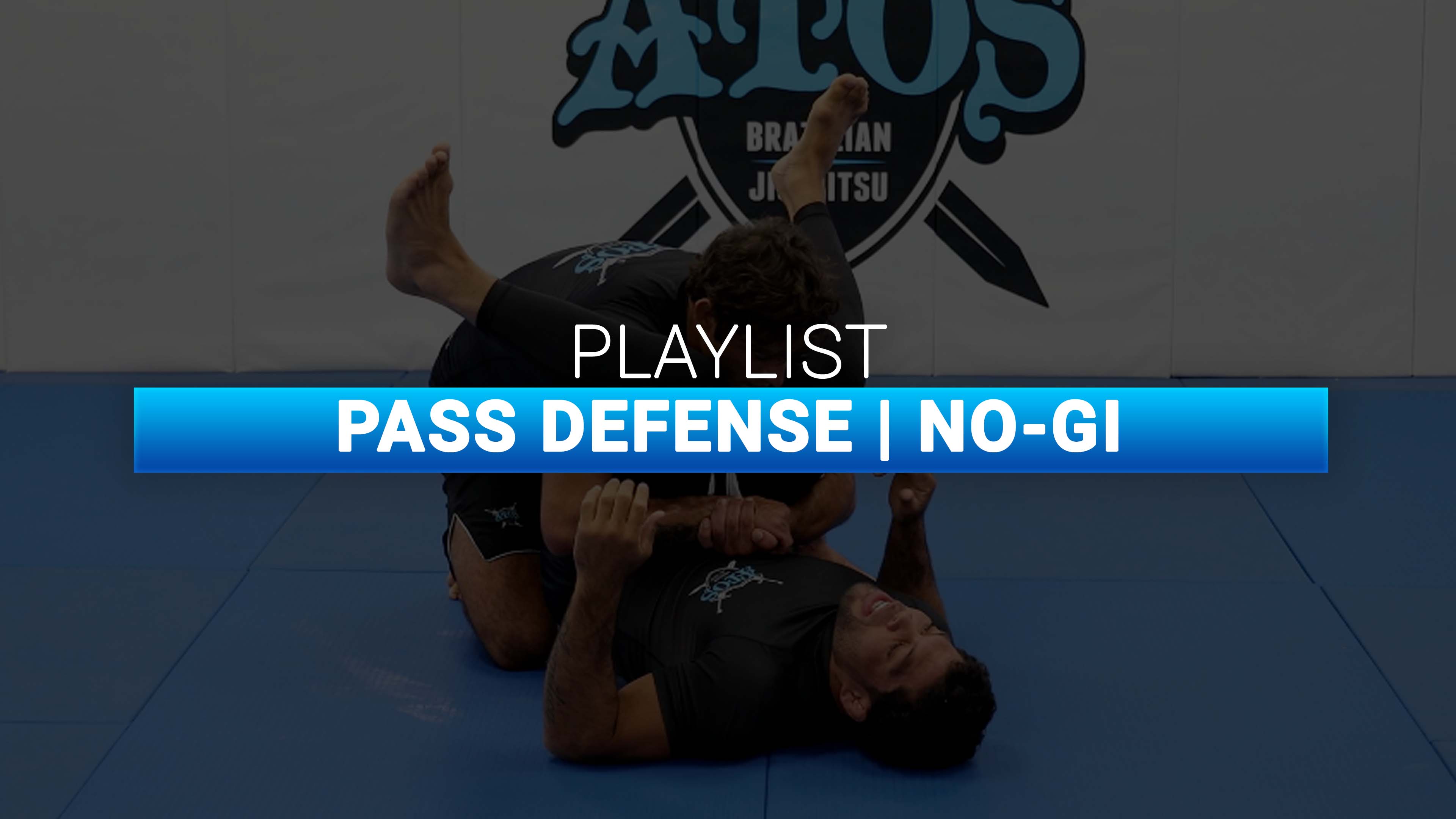 Pass Defense | No-Gi