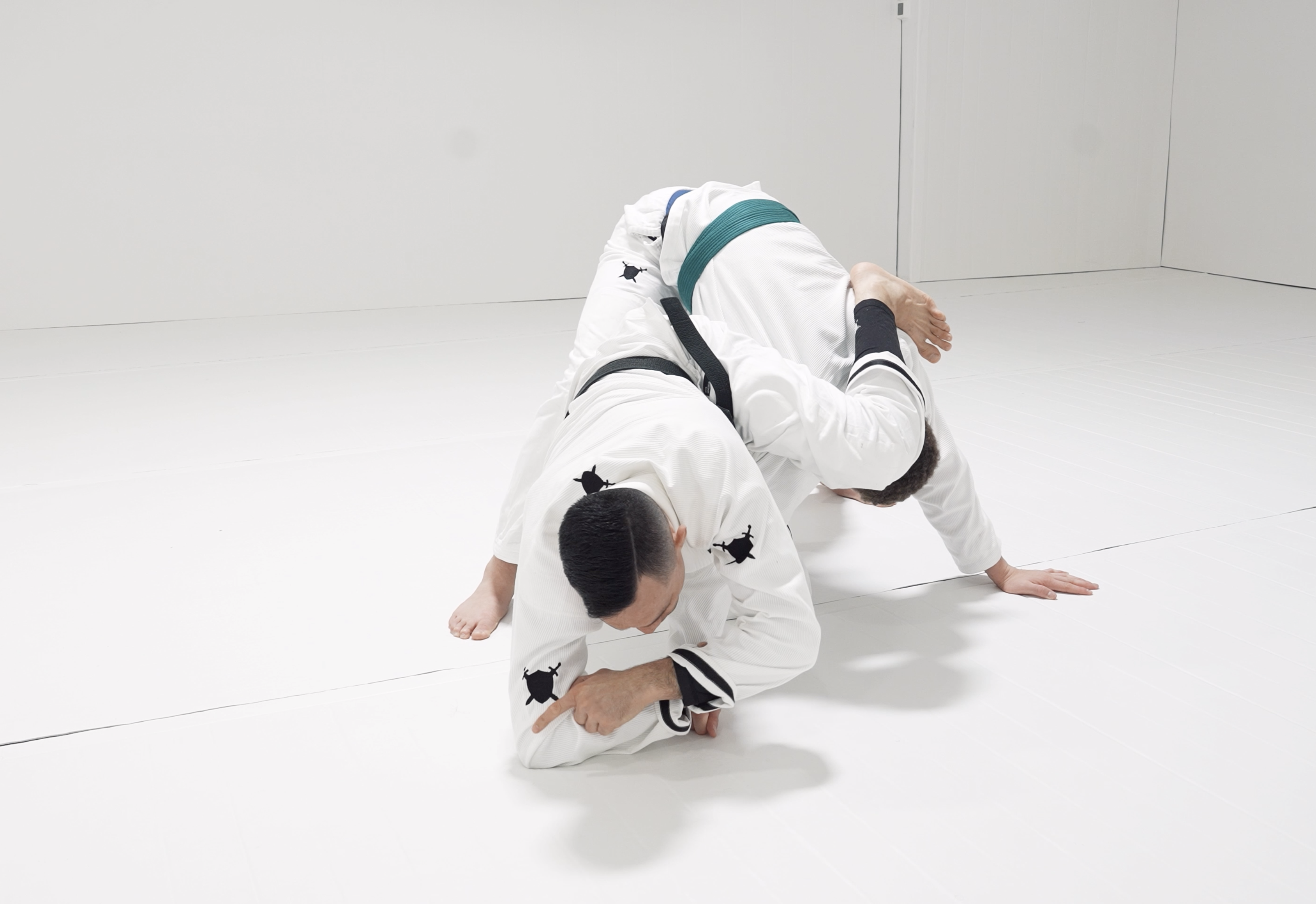 Cross Sleeve DLR Triangle and Belly Down Armbar