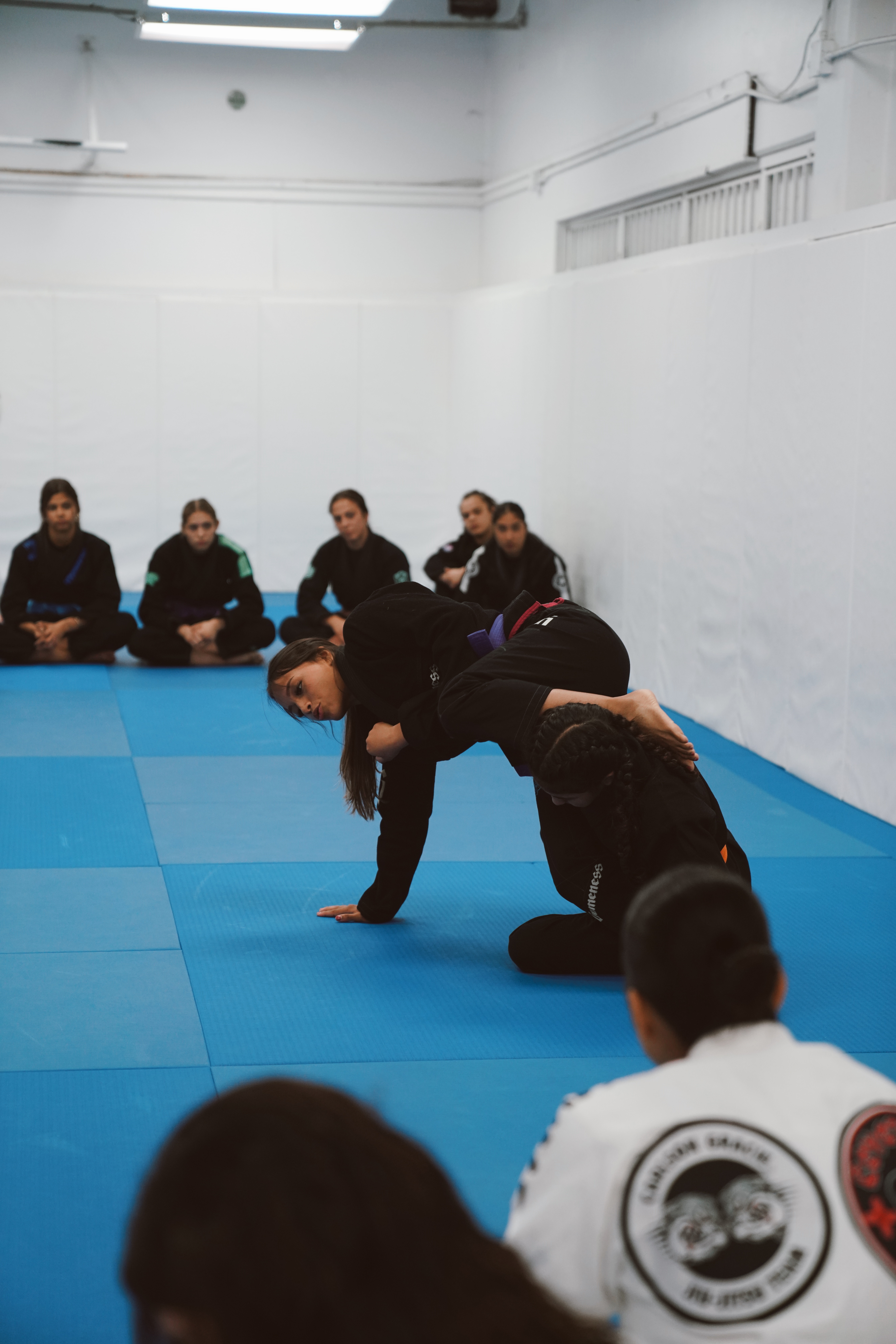 Arm Bar from Ankle Sweep by Emily Leyva | Part 1