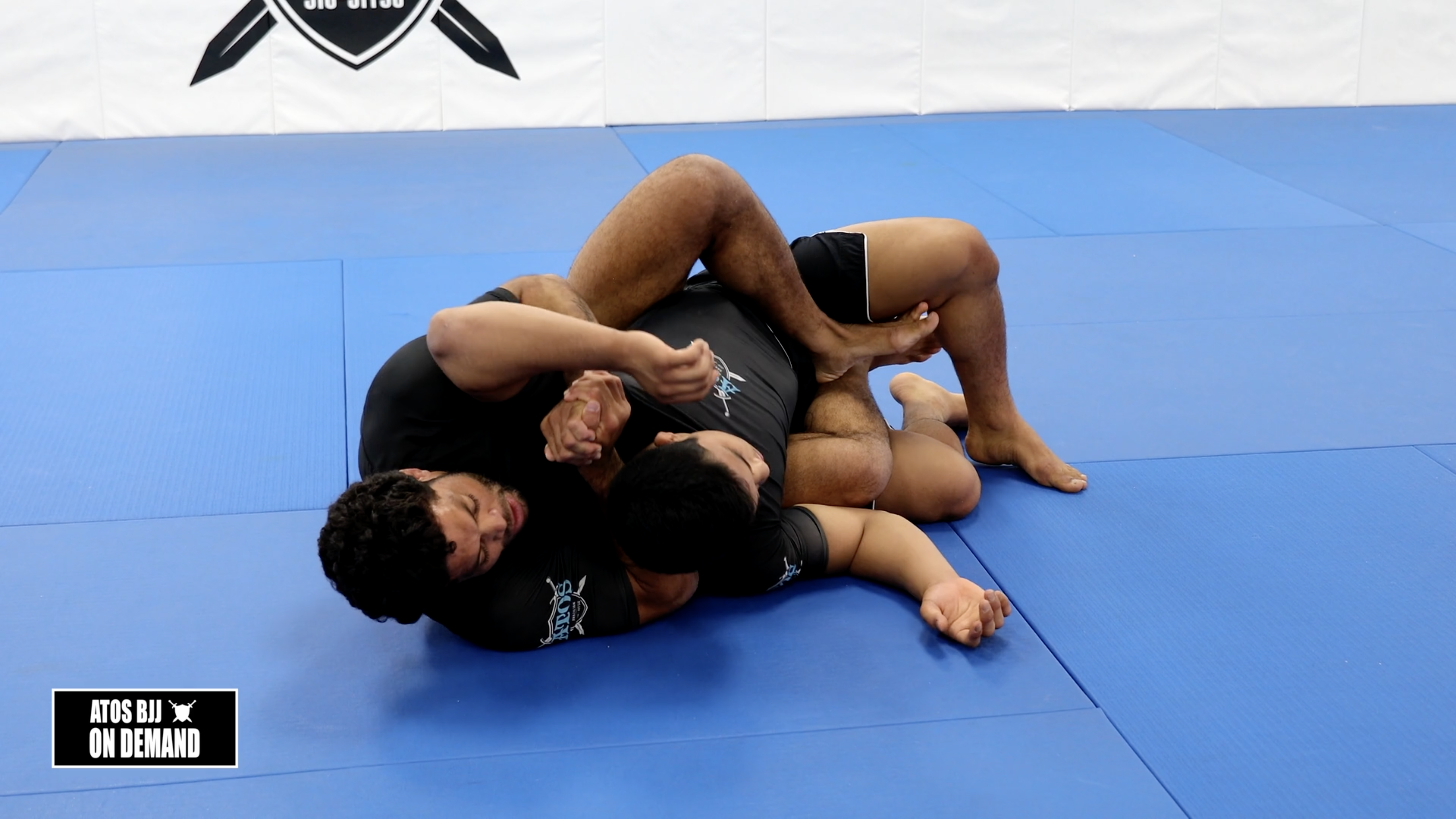 Armadillo Back Take From Closed Guard