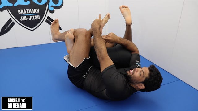 The Hippoplata Calf Slice With Back Take Variations + Important Details