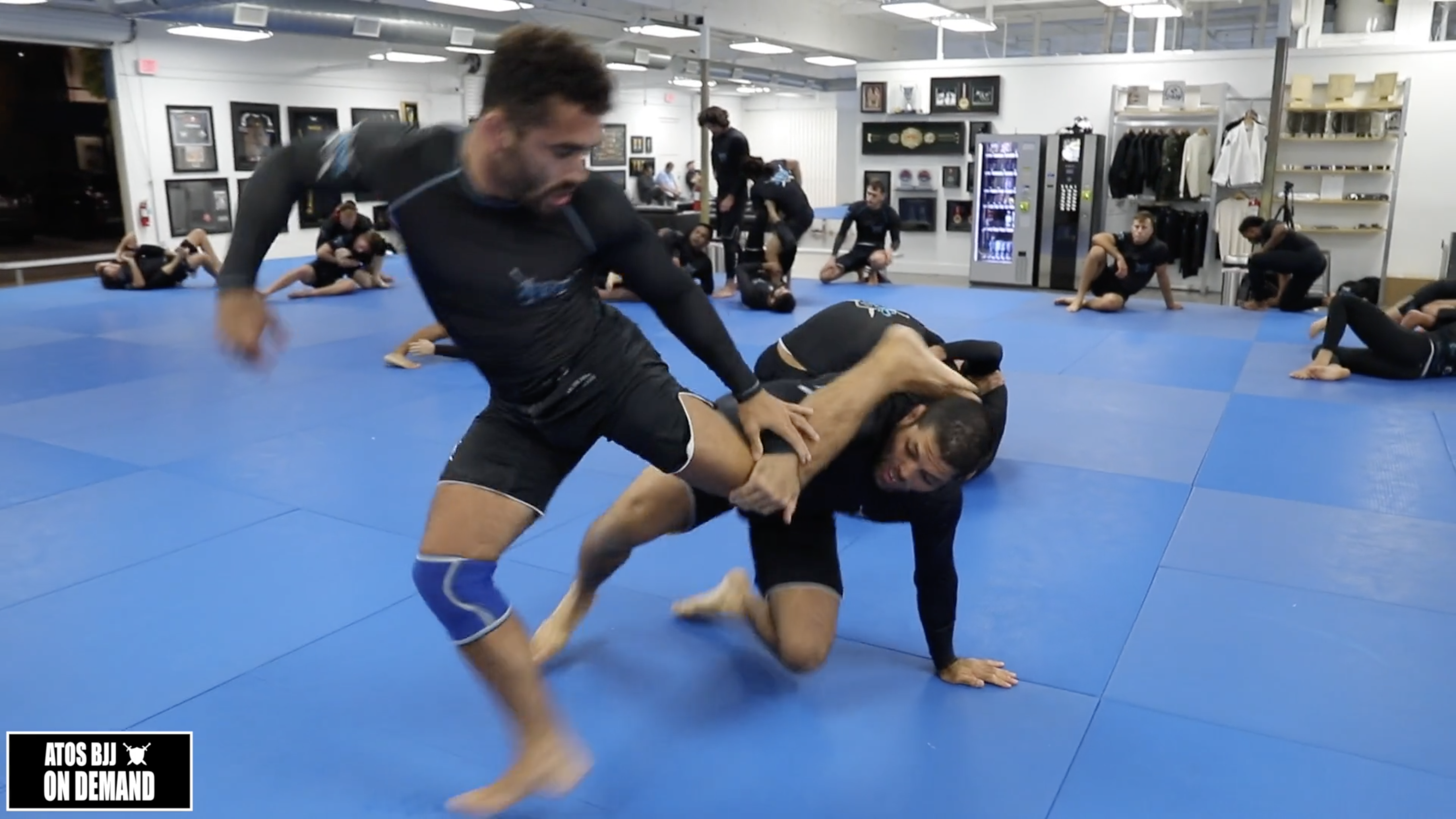 Andre Galvao Vs Mike Perez