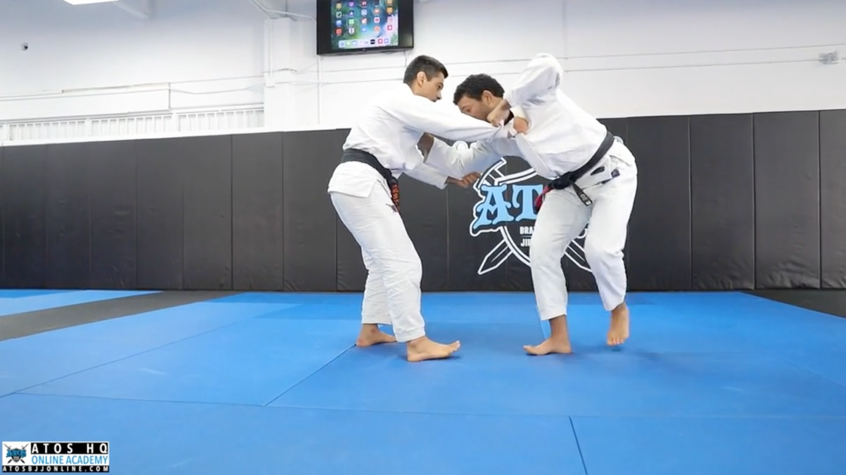 Collar & Sleeve Guard Pull to De La Riva + Berimbolo Sweep or Back Take