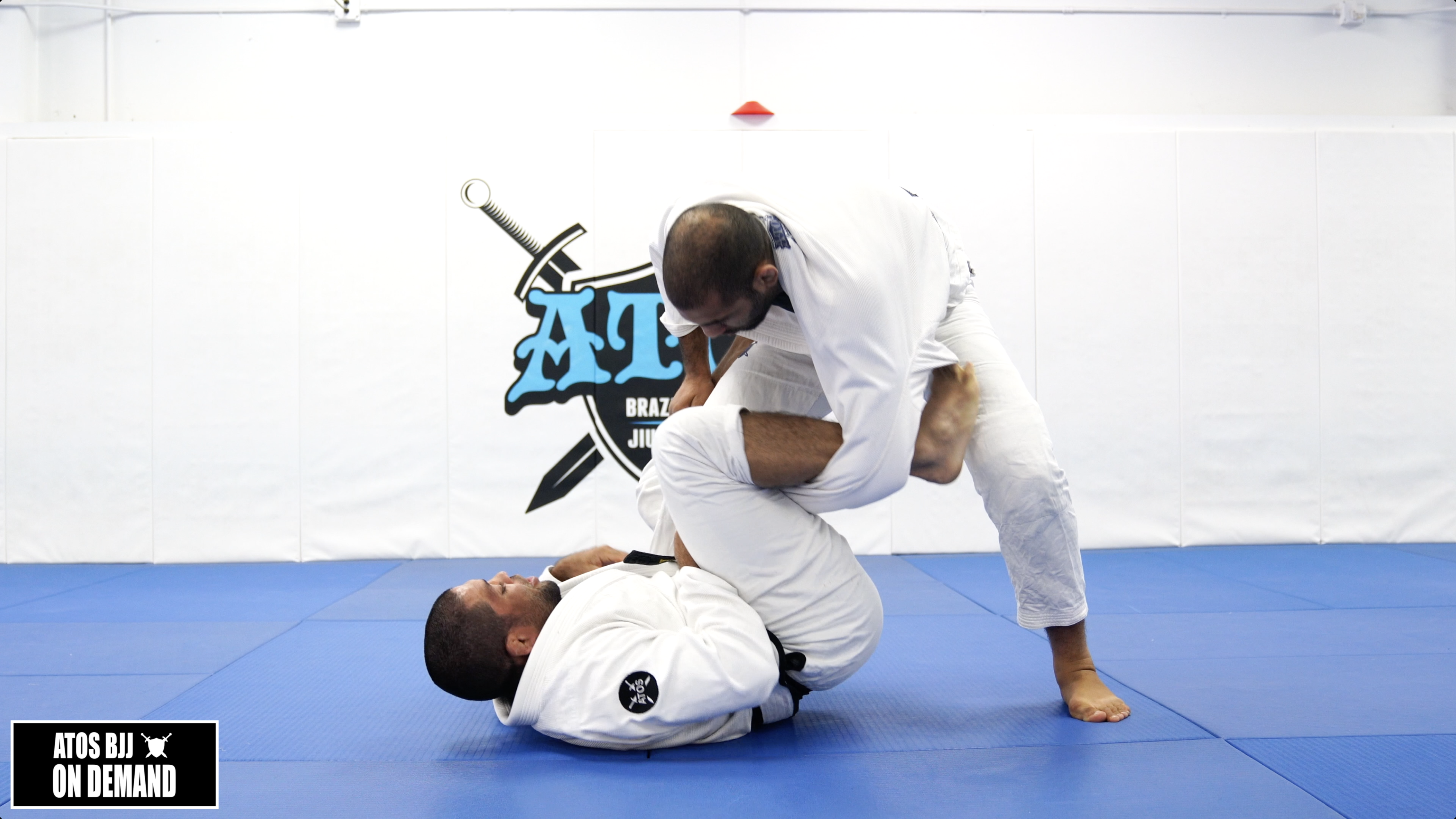 Honey Hole From Lasso Guard