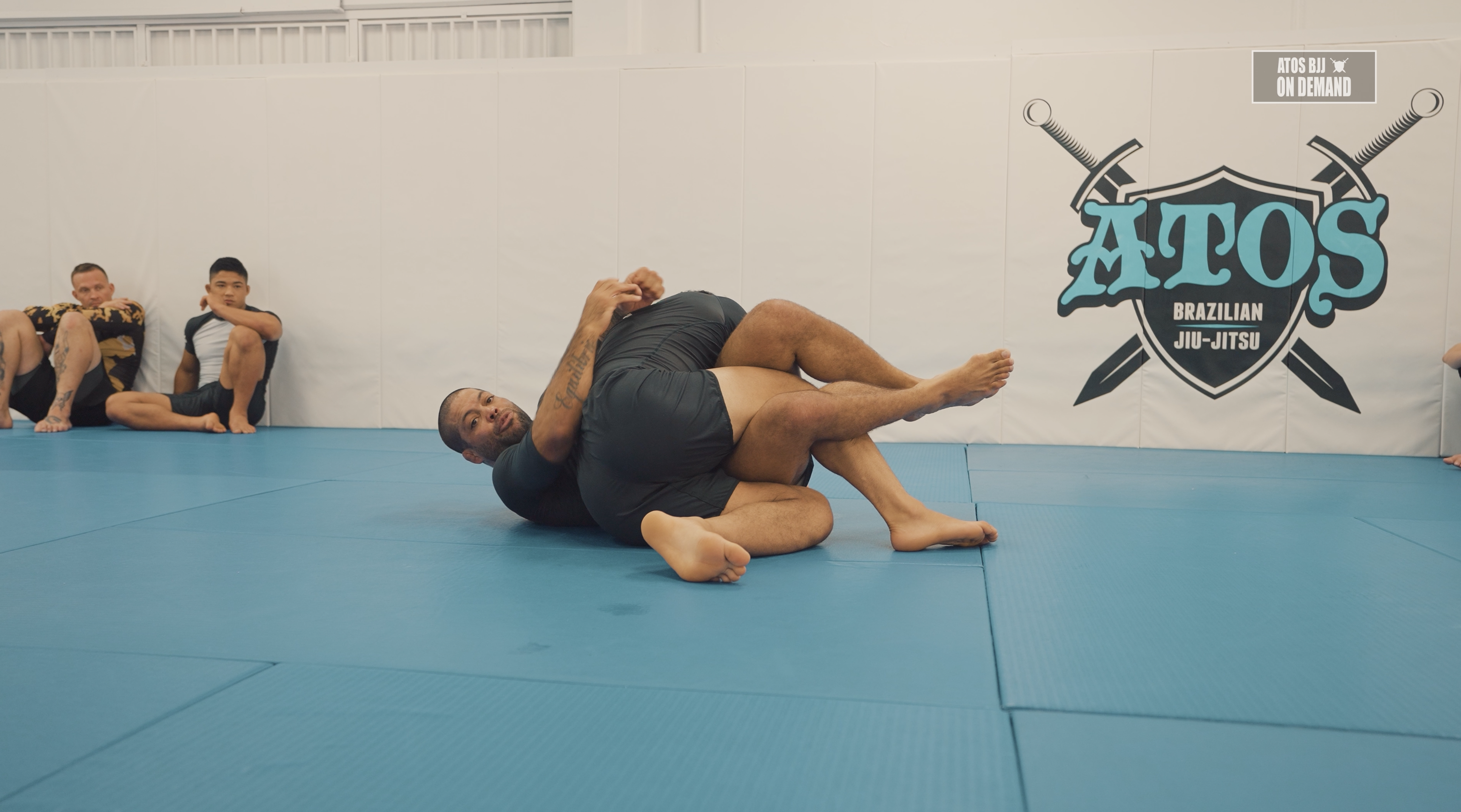 BJJ Fanatics Camp: Octopus Guard Variations by Andre Galvao