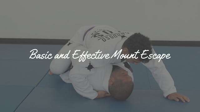 Day 4 - Basic and Effective Mount Escape