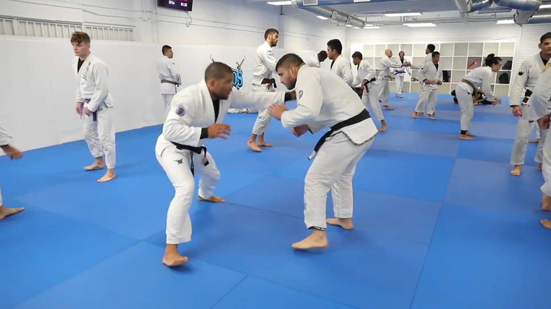 Andre Galvao vs Gustavo Batista