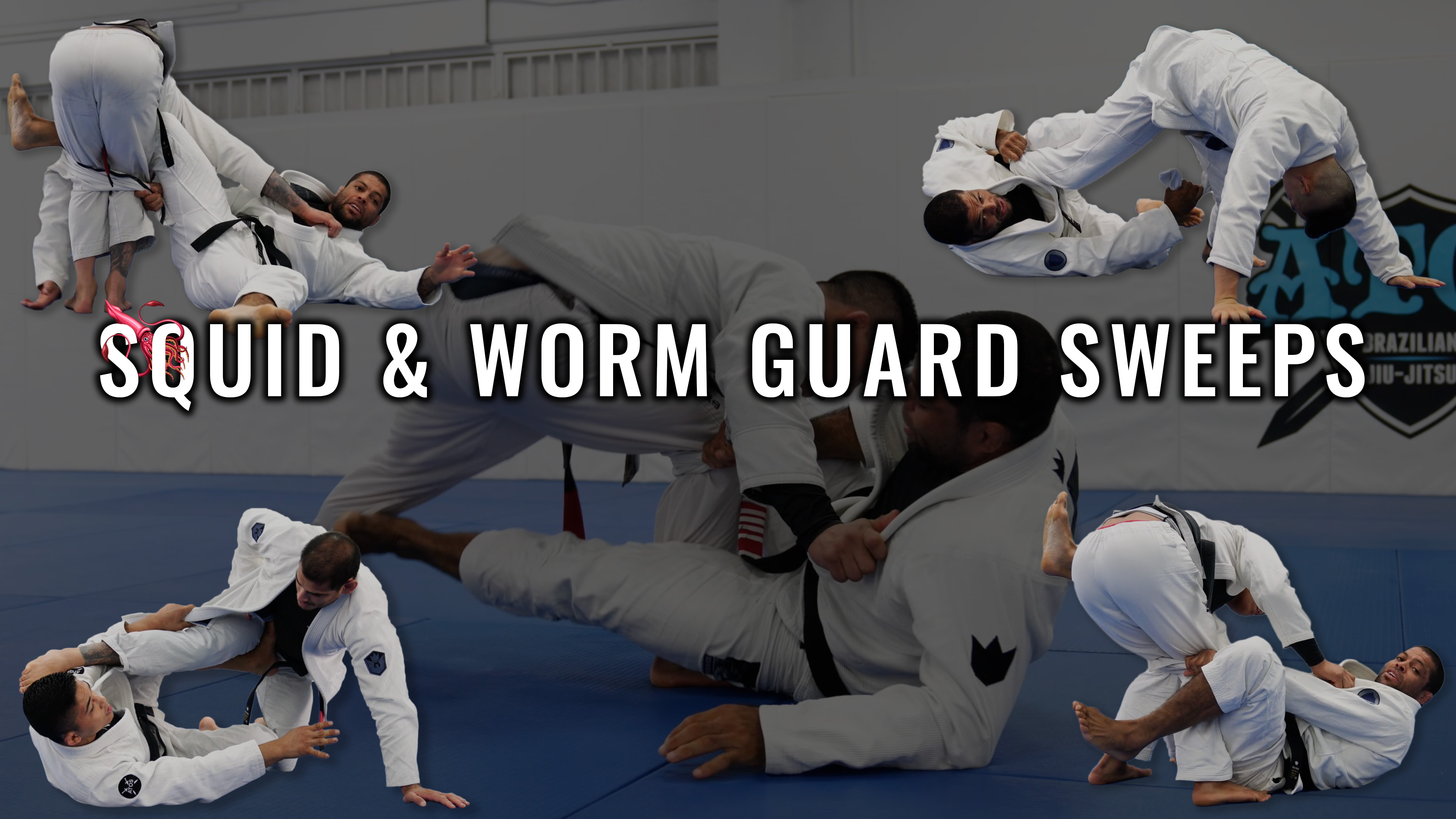 Squid & Worm Guard Sweeps