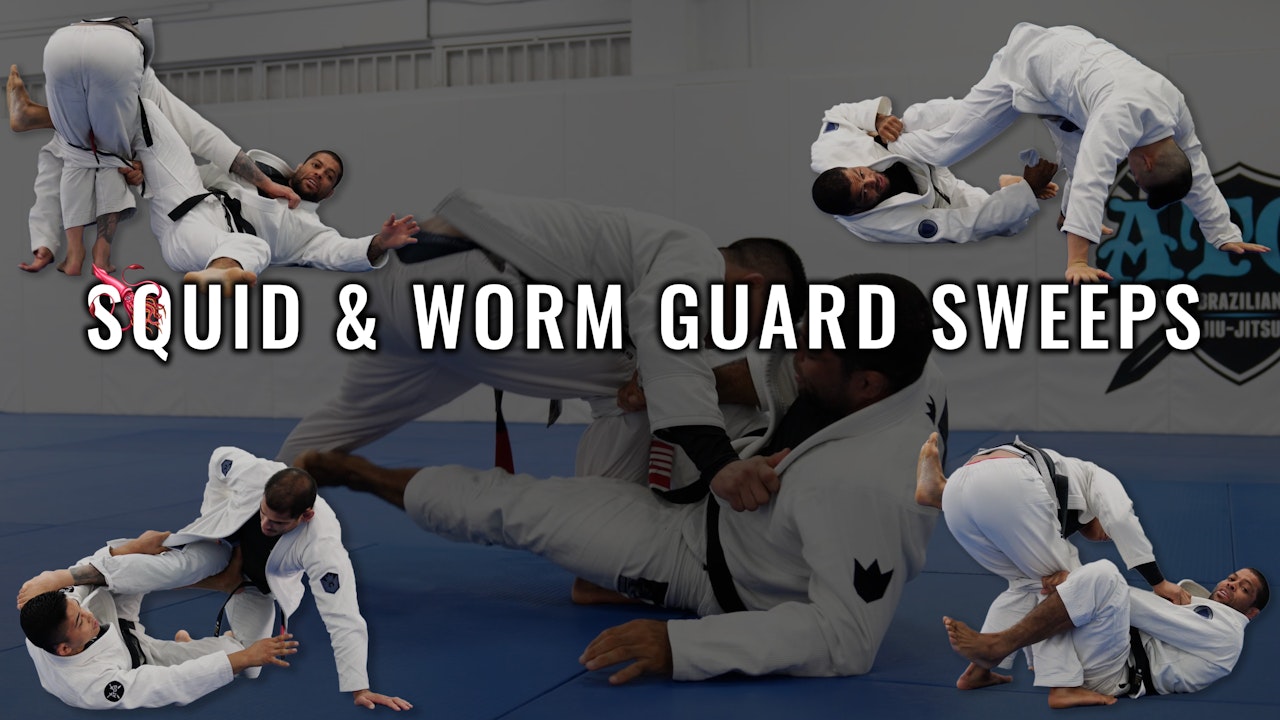 Squid & Worm Guard Sweeps