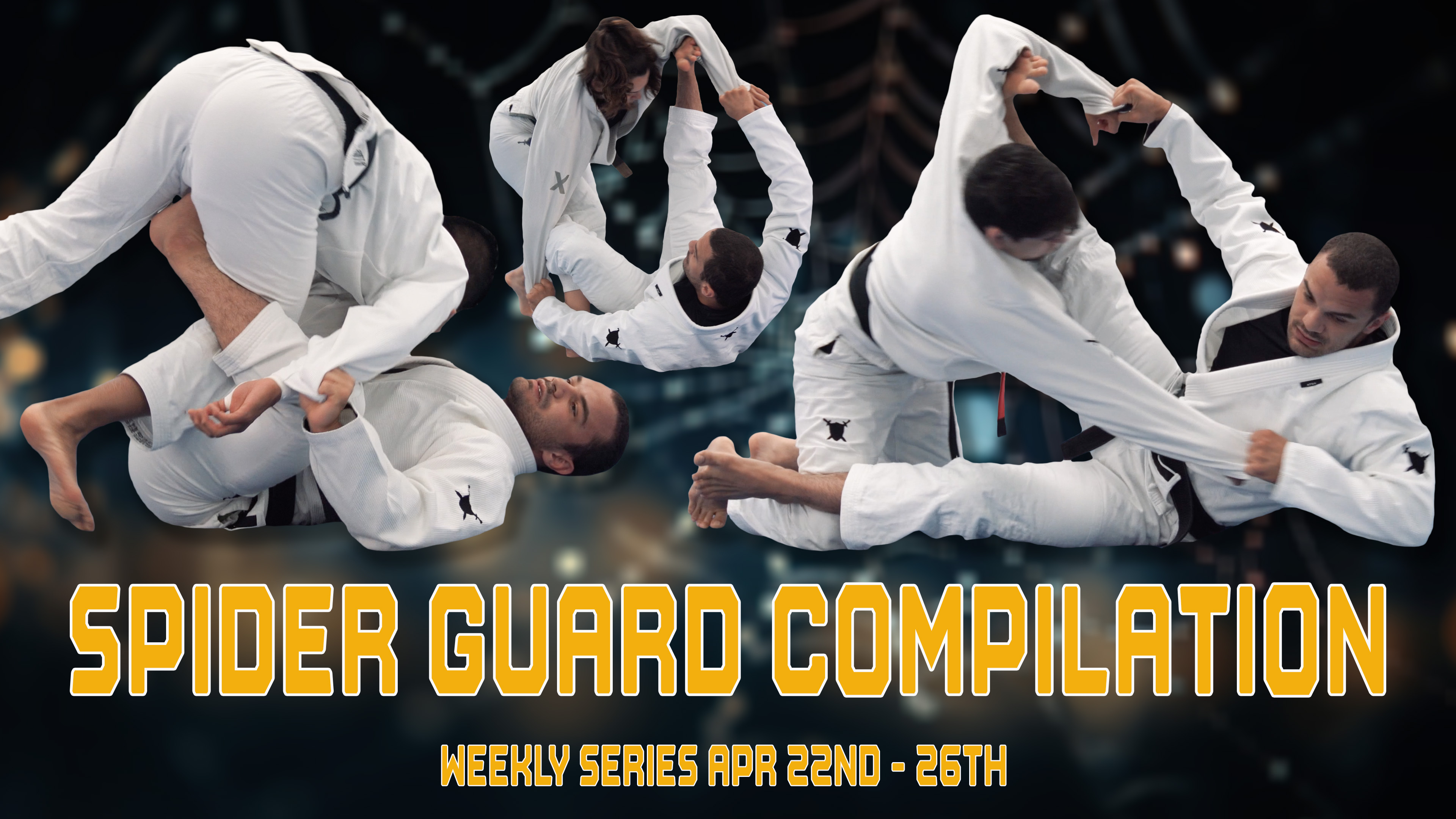 Spider Guard Compilation