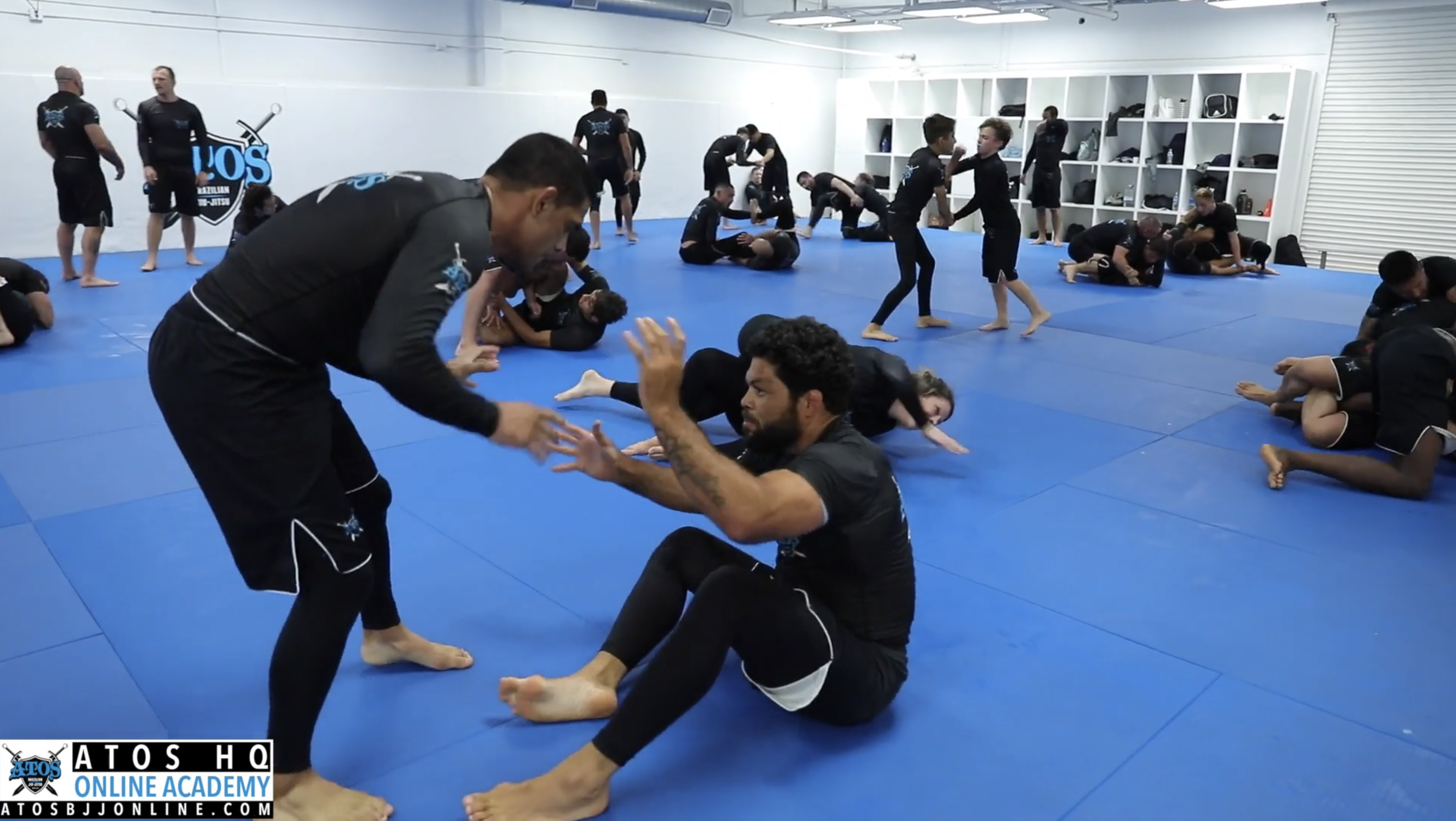 Andre Galvao vs James (Black)