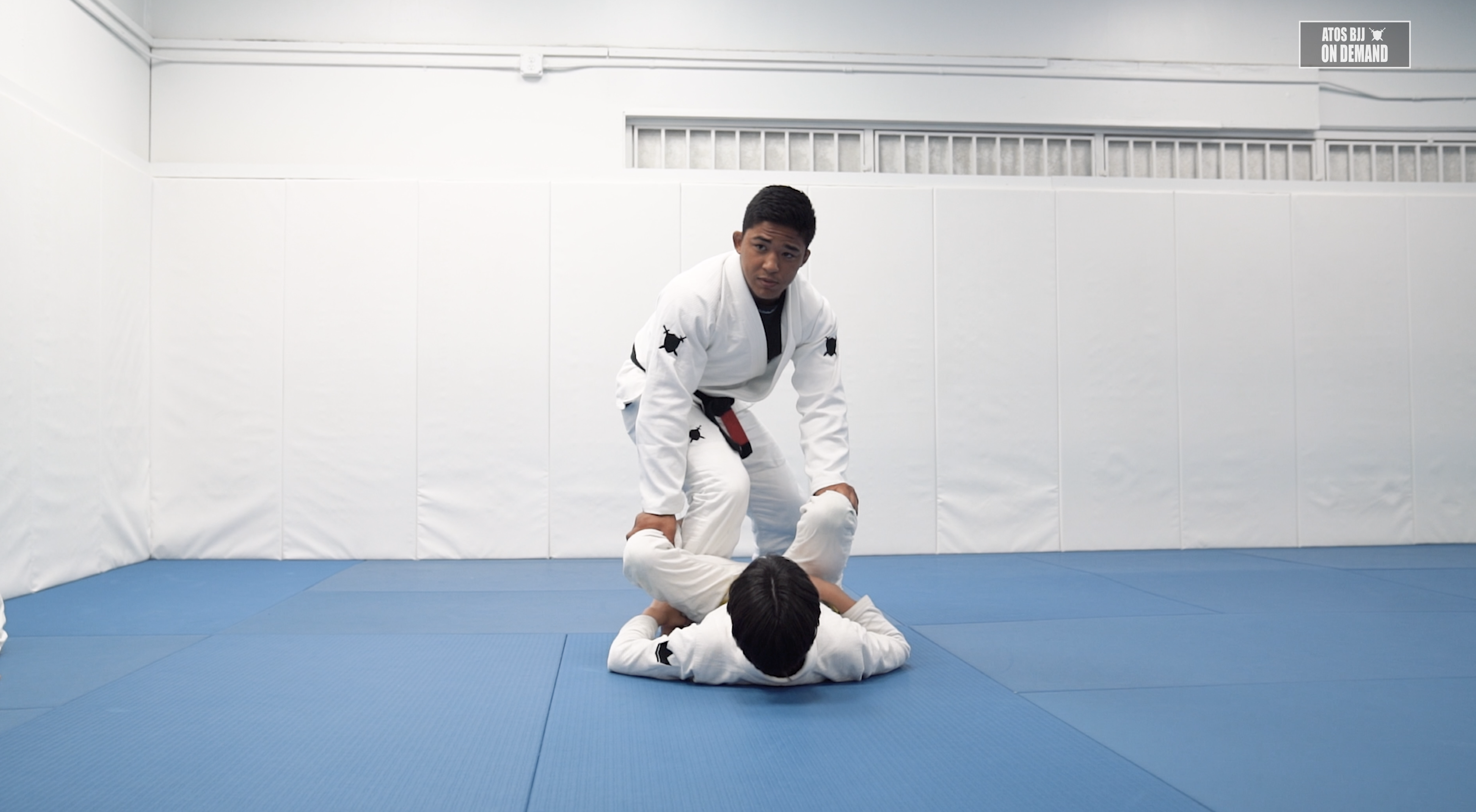 Passing Drills from De La Riva Guard - Part 1 | Kids Class