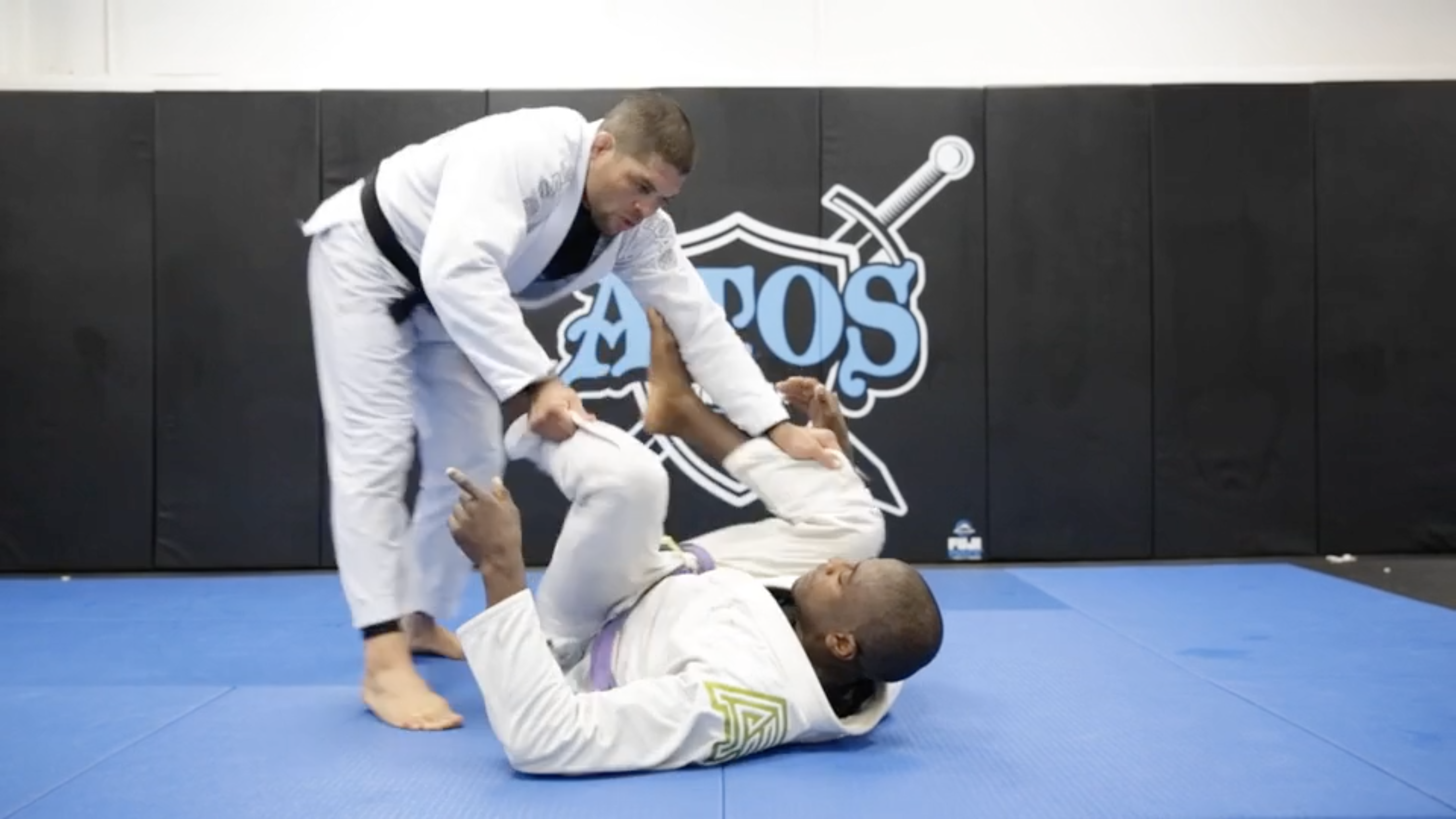 Sweeping Using the Lasso Spider Guard