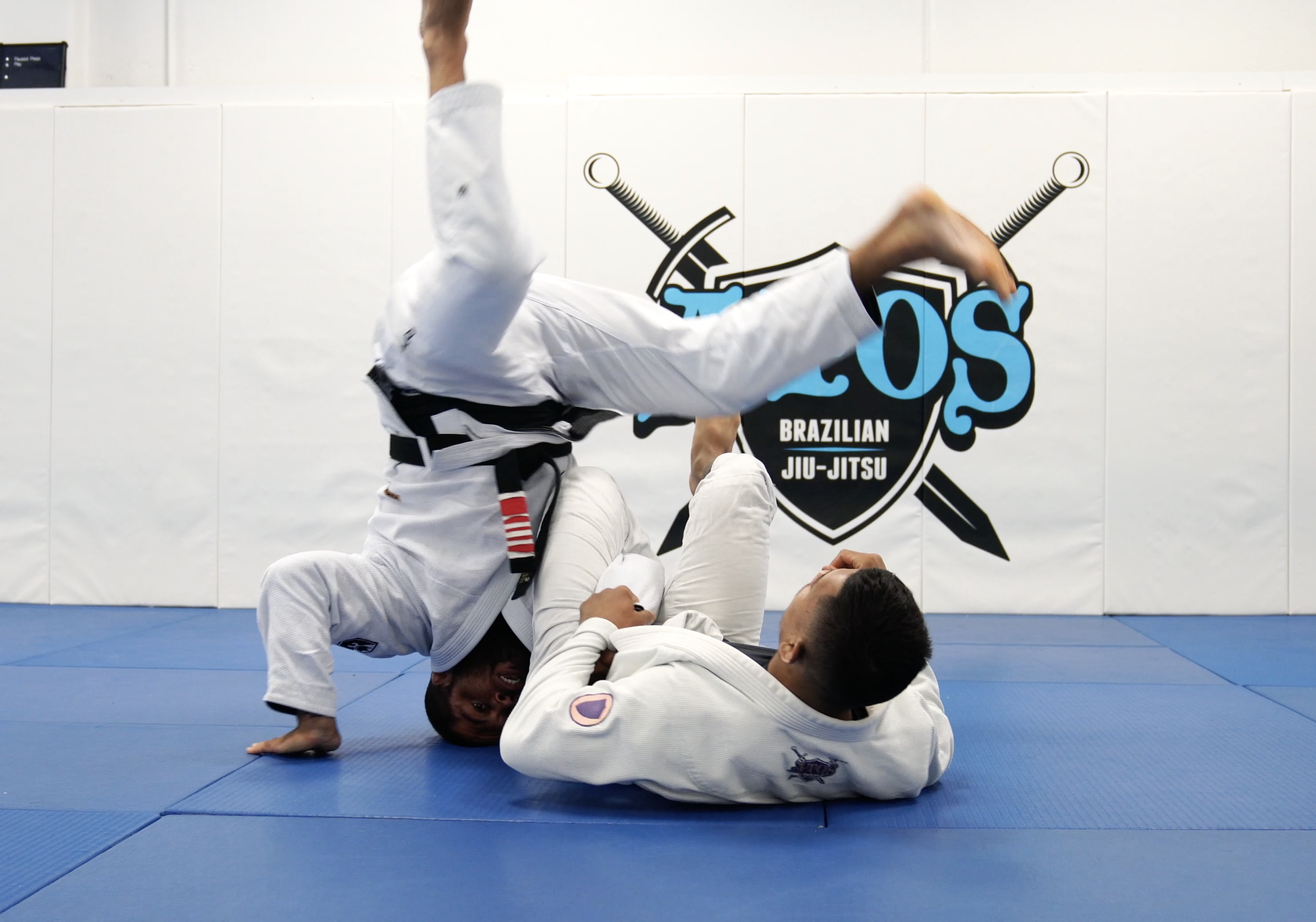 Effective Omoplata Defense & Counter Attacks