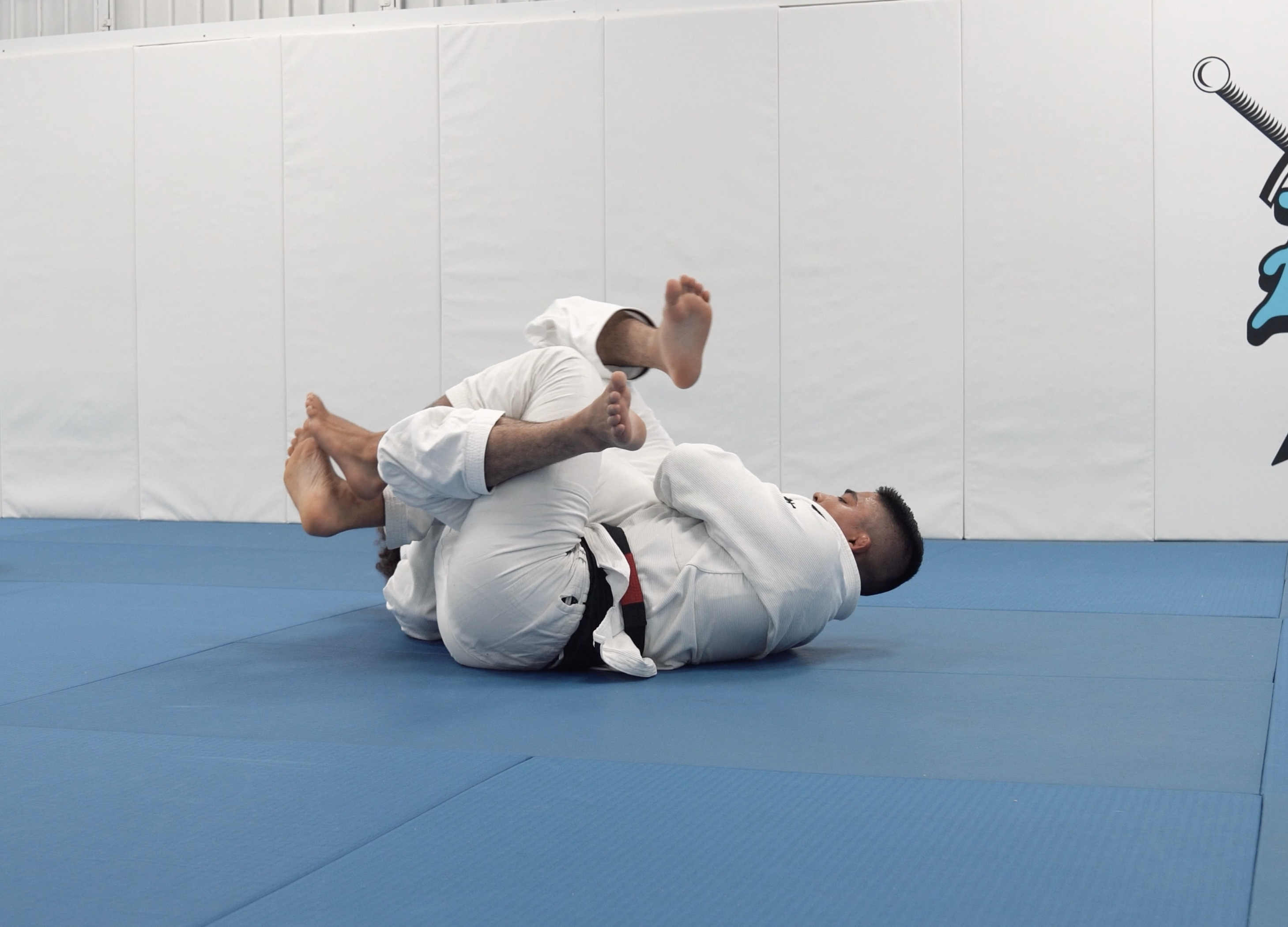 Berimbolo From DLR to Back Take | Part 2