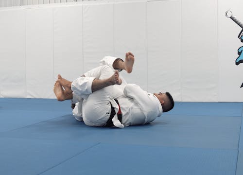 Berimbolo From DLR to Back Take | Part 2