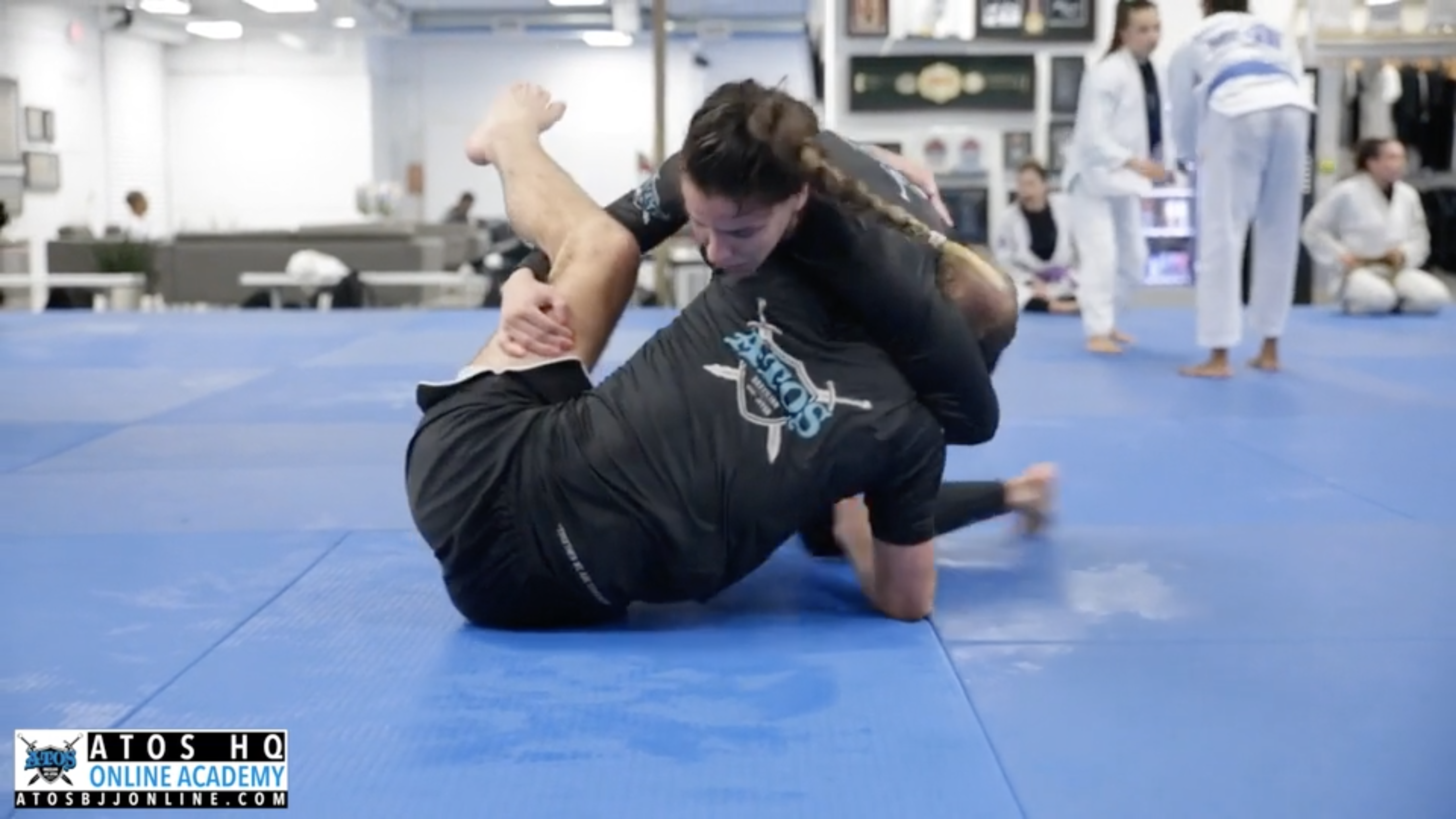 Luiza Monteiro vs Alec Sachs