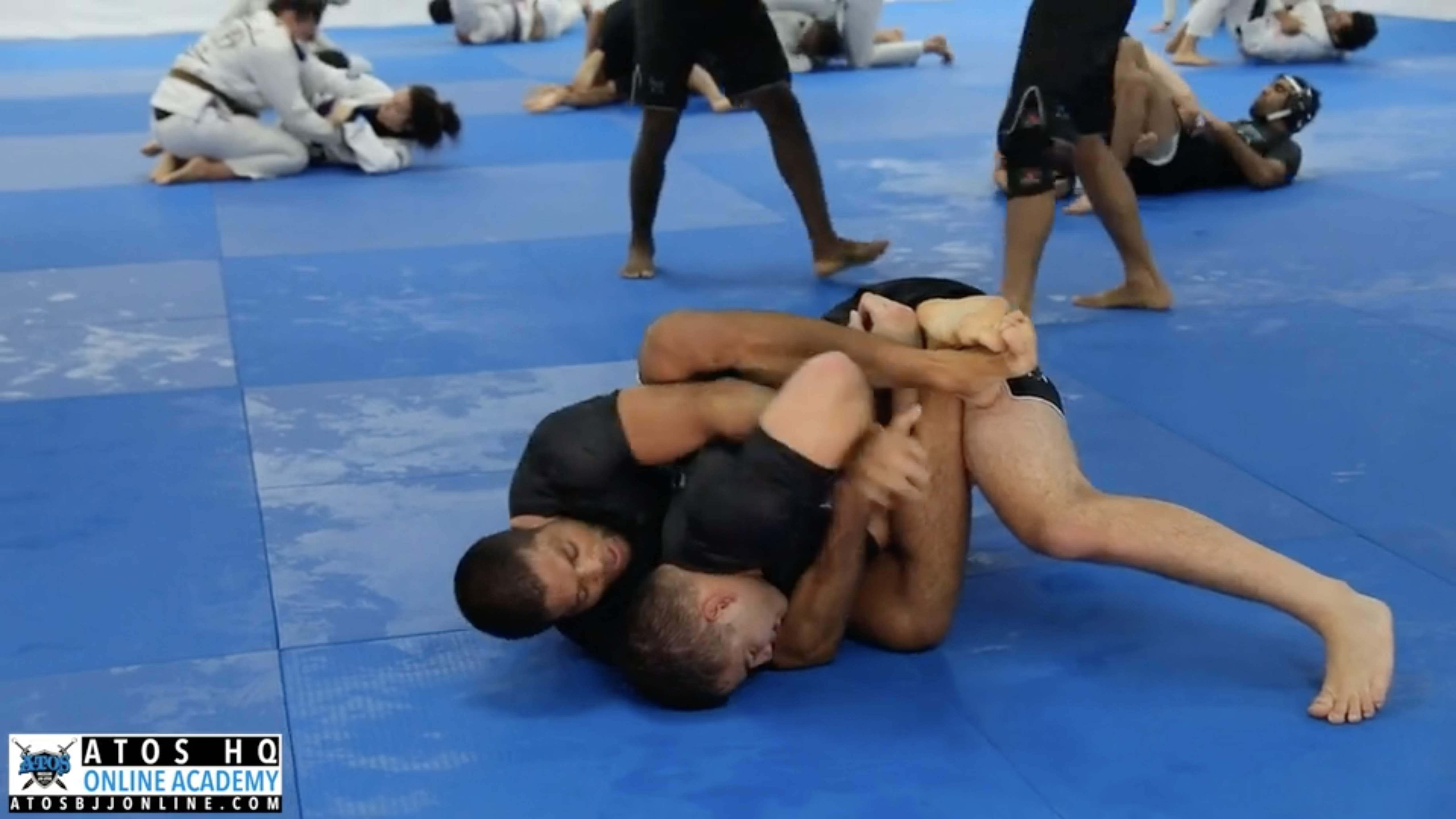 Andre Galvao vs Gustavo Batista