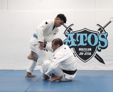 DLR Sweep and Omoplata | Part 1