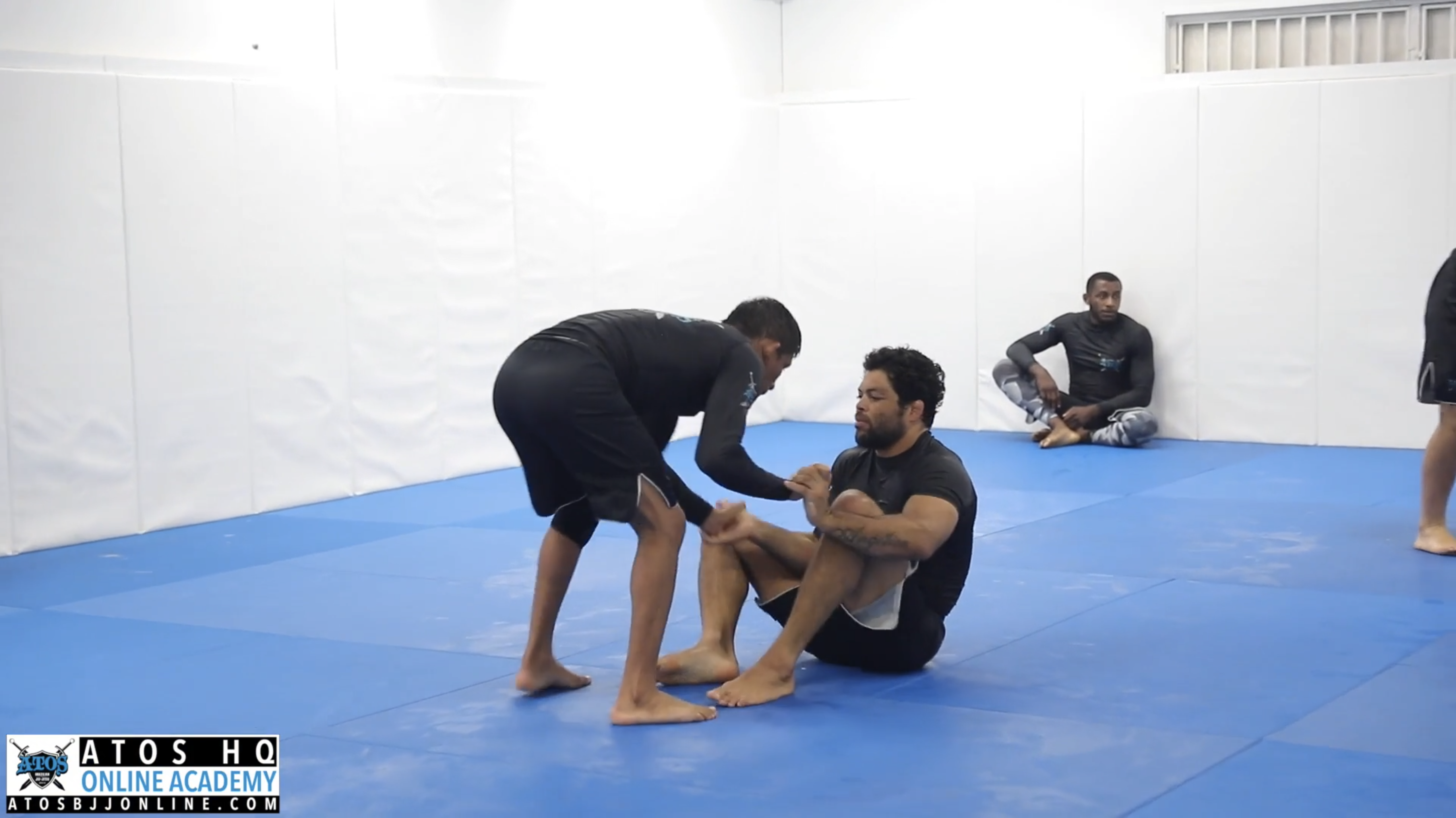 ADCC Champ Vs Pan Black Belt Champ: Andre Galvao vs Lucas Pinheiro