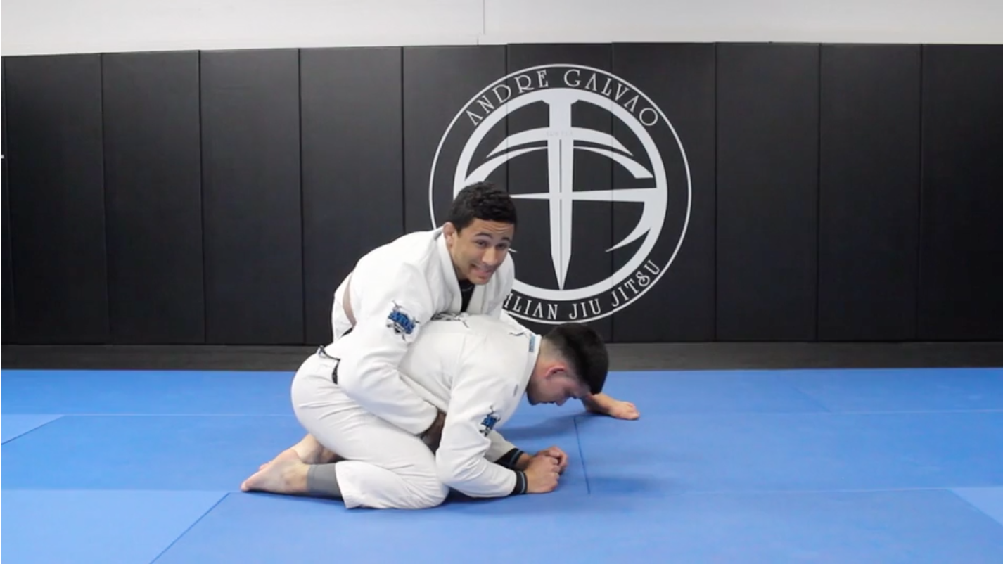 Controlling and Passing the Turtle Guard