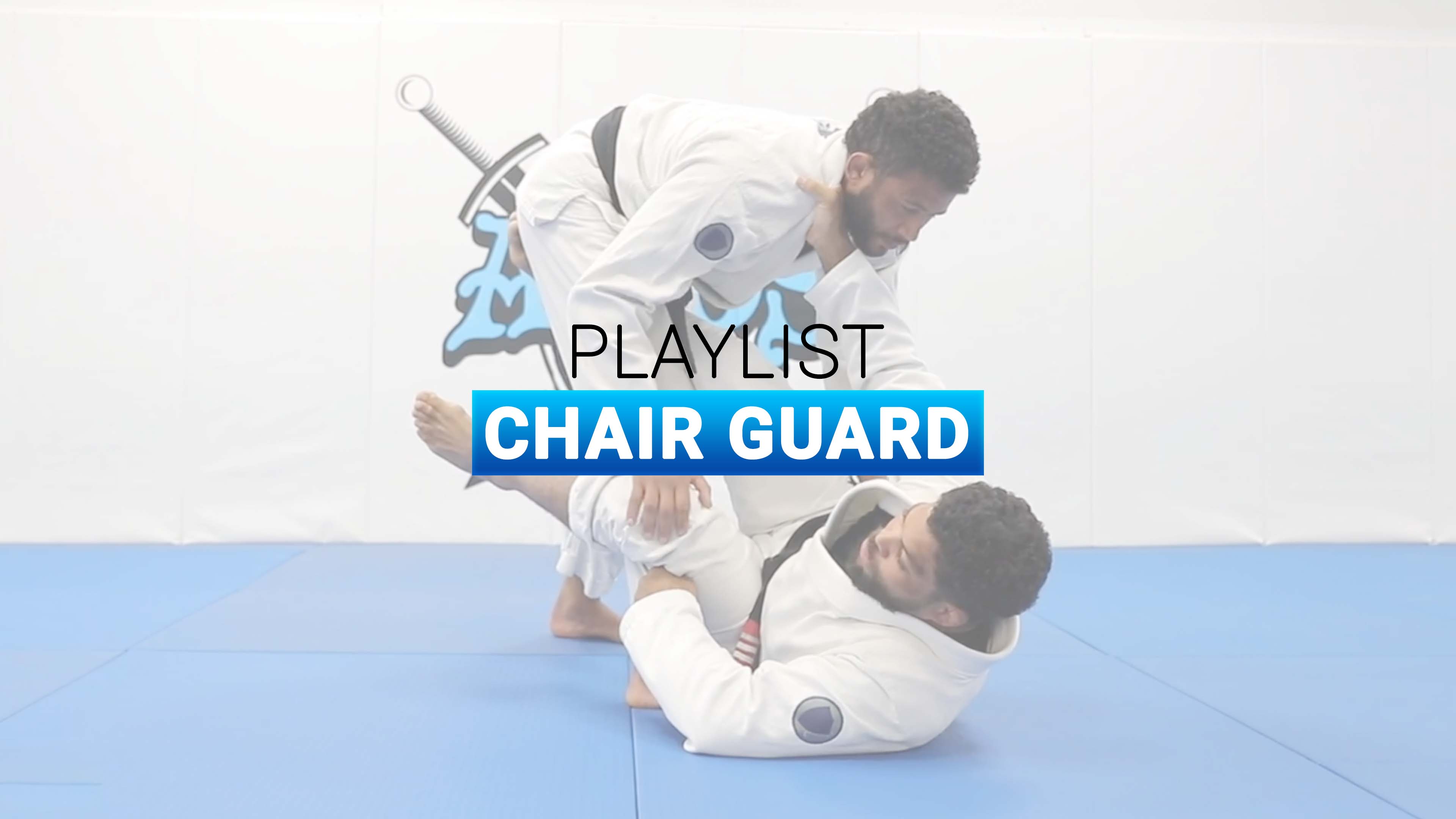 Chair Guard
