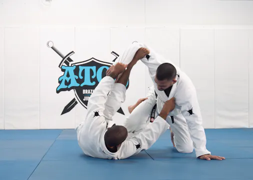 Tarantula Guard Kiss of the Dragon