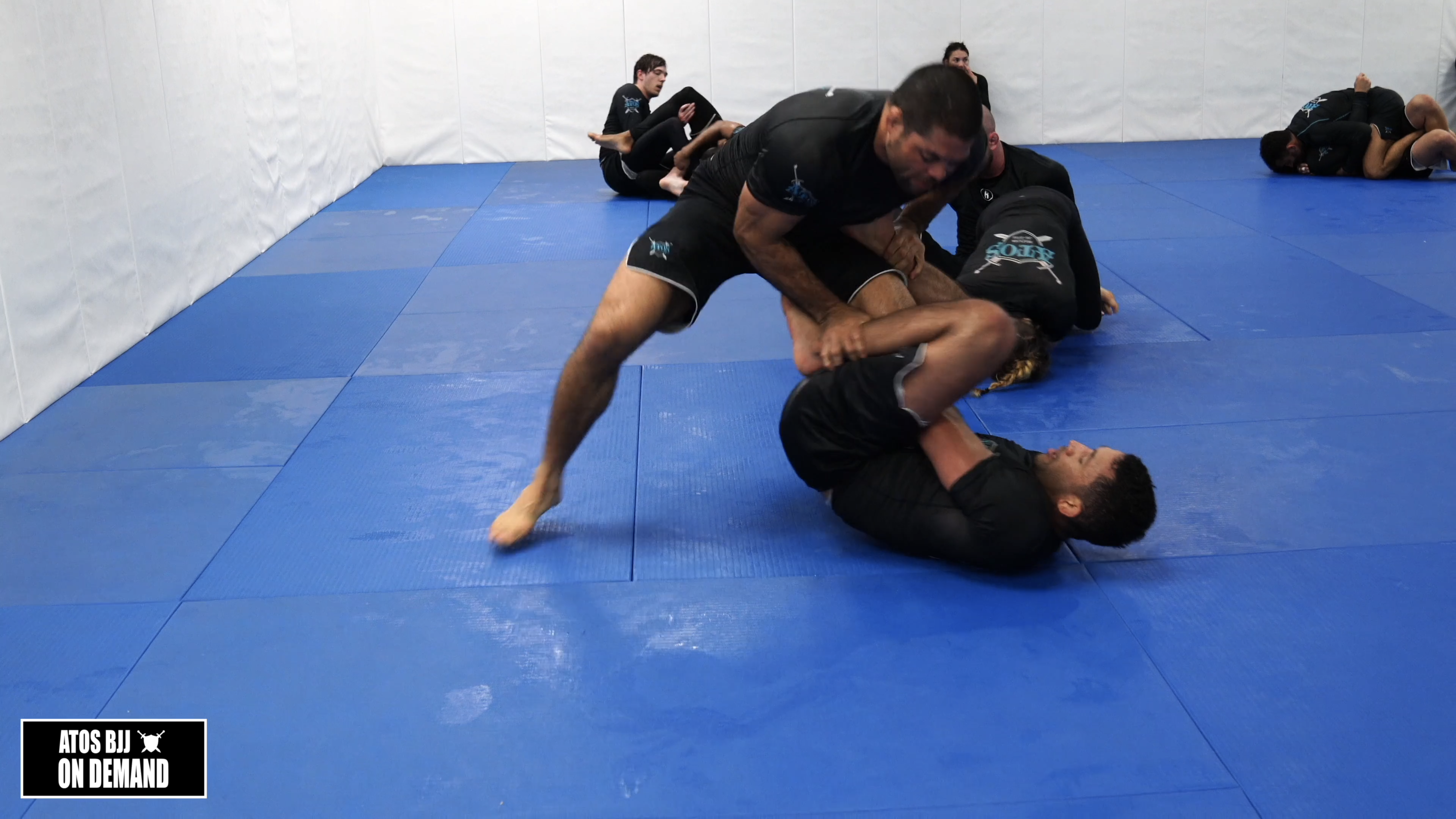 Sparring: Andre Galvao vs Dominique Bell(Black Belt)