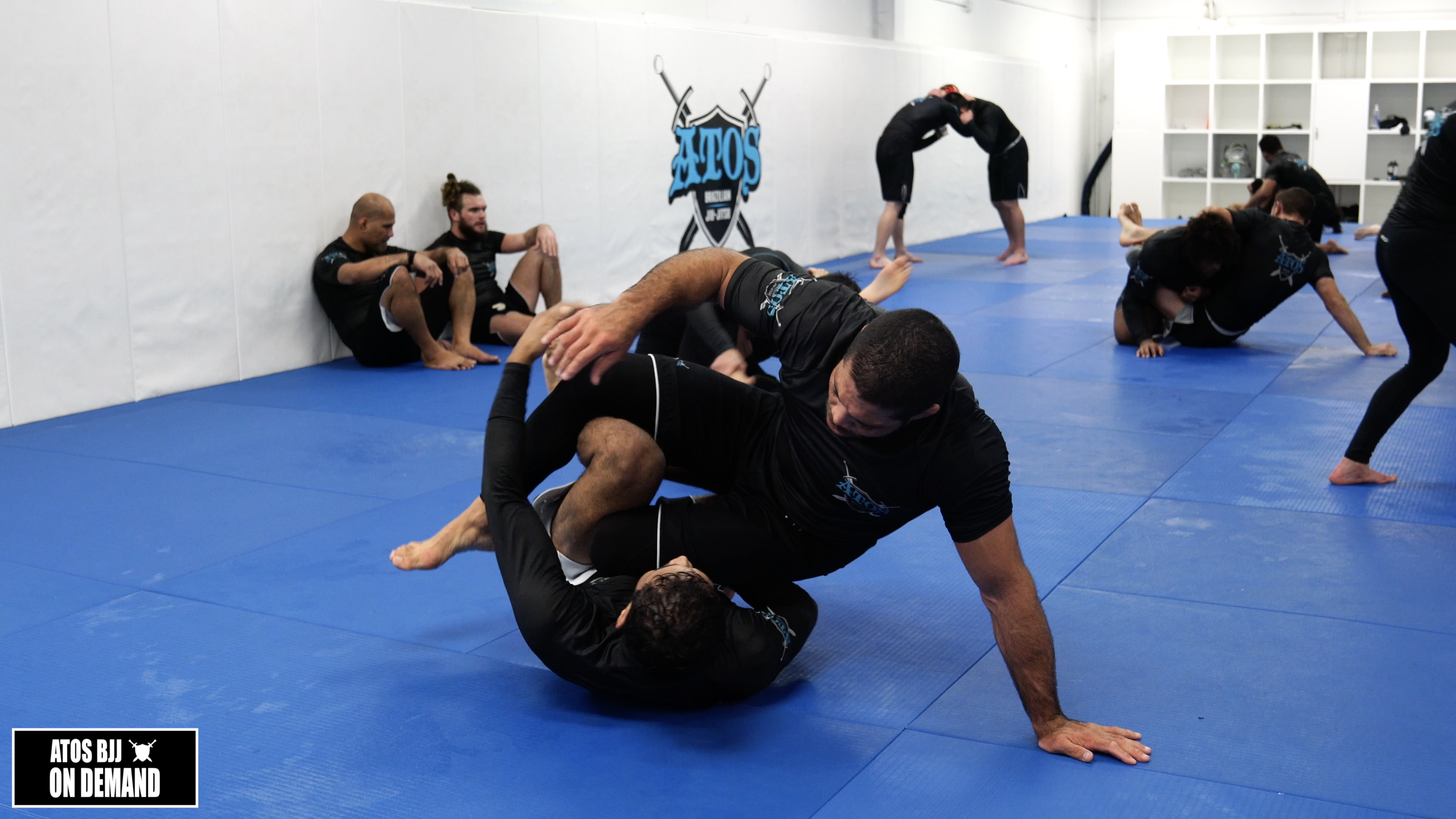 Andre Galvao vs Ricky Briceno