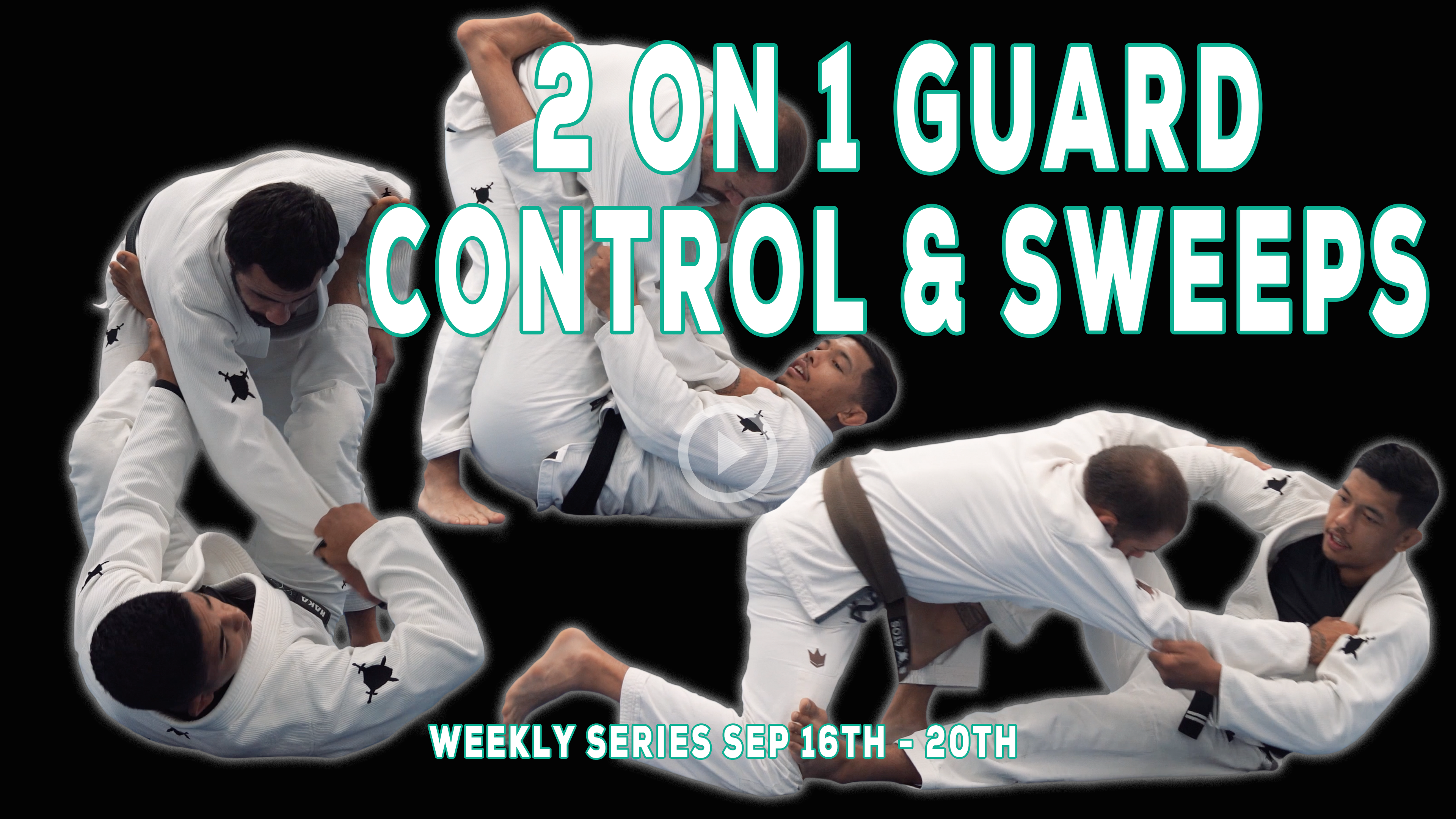 2 on 1 guard Control & Sweeps
