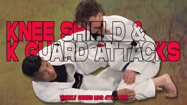 Knee Shield & K Guard Attacks Series