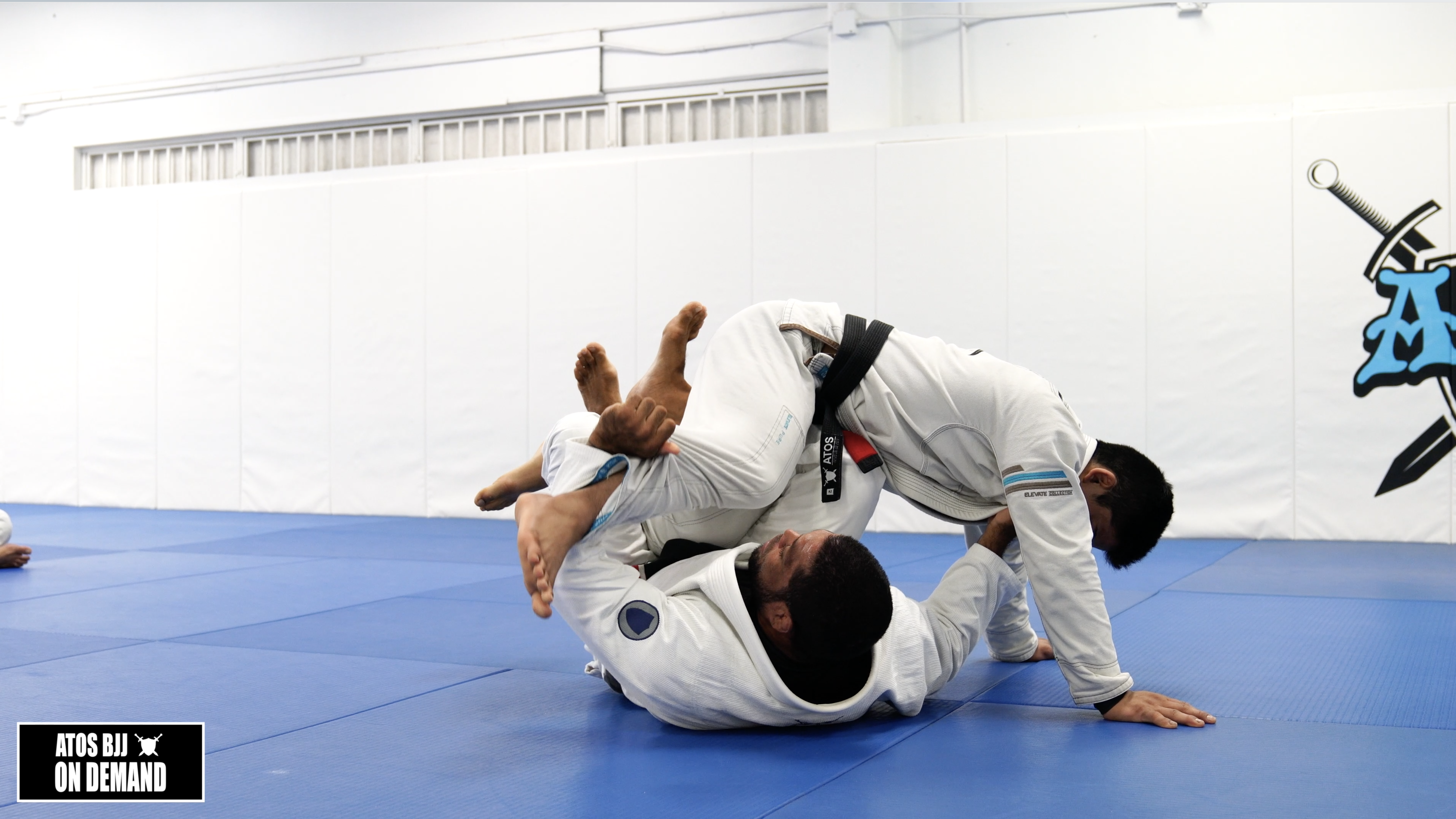 Honey Hole From X Guard Concepts & Attacks