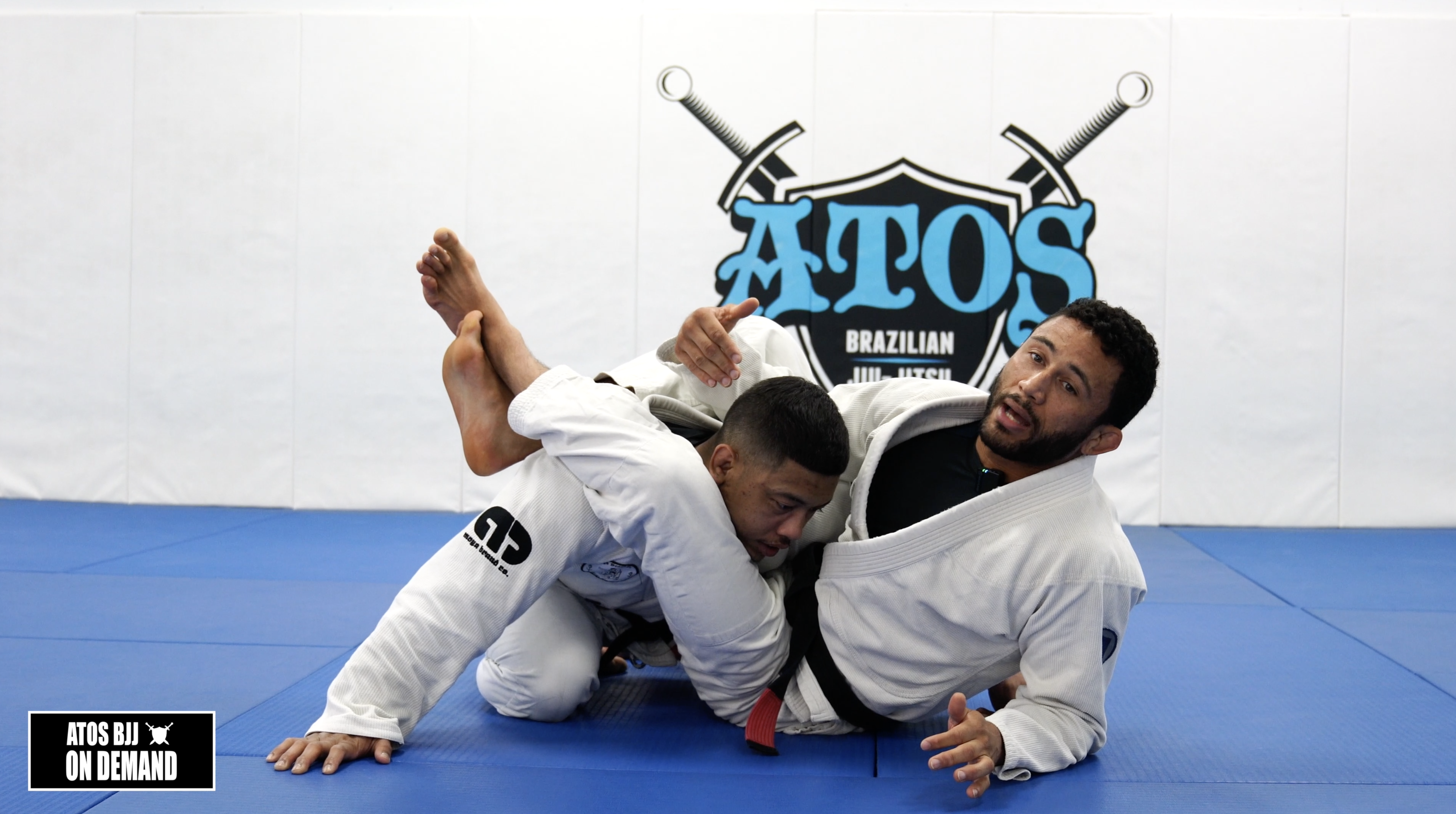 Closed Guard Triangle