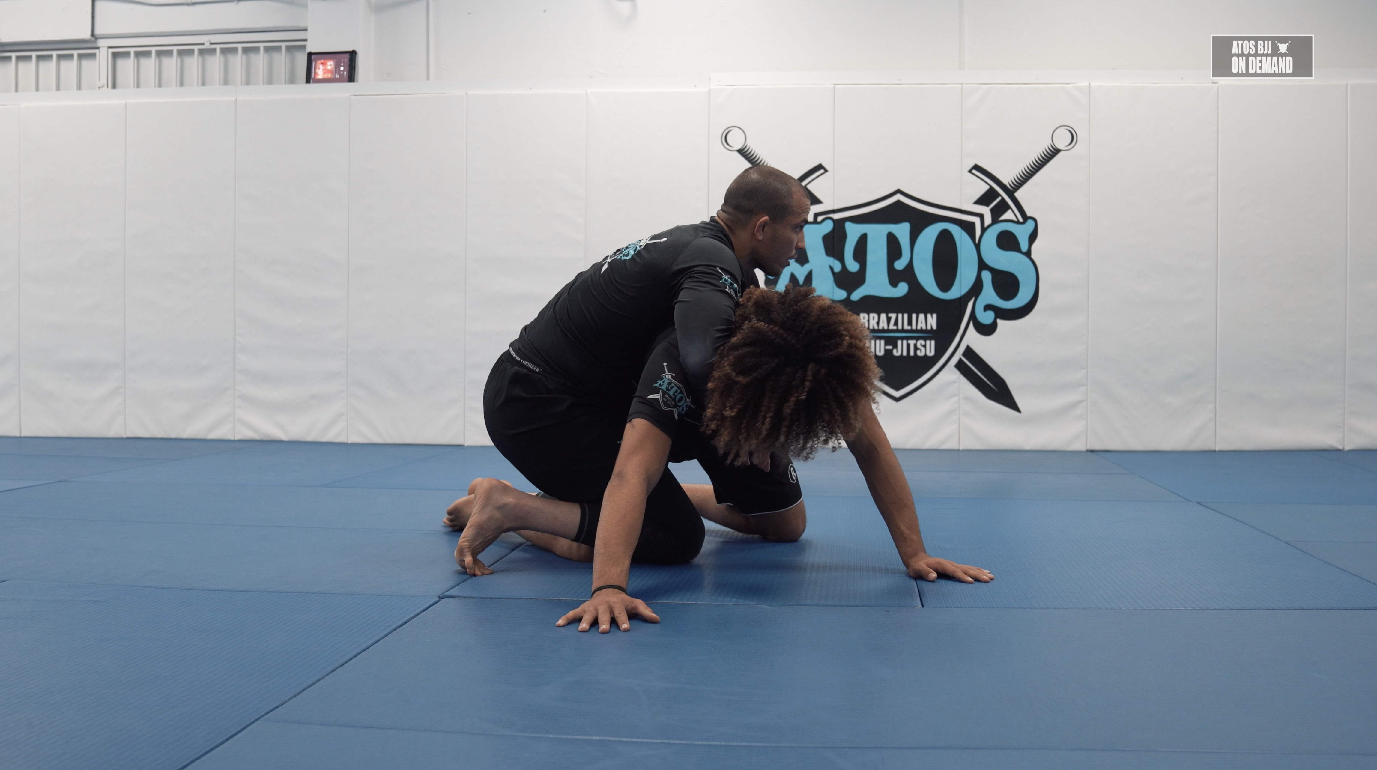 Coyote Guard Sweep and Back Take | Part 2