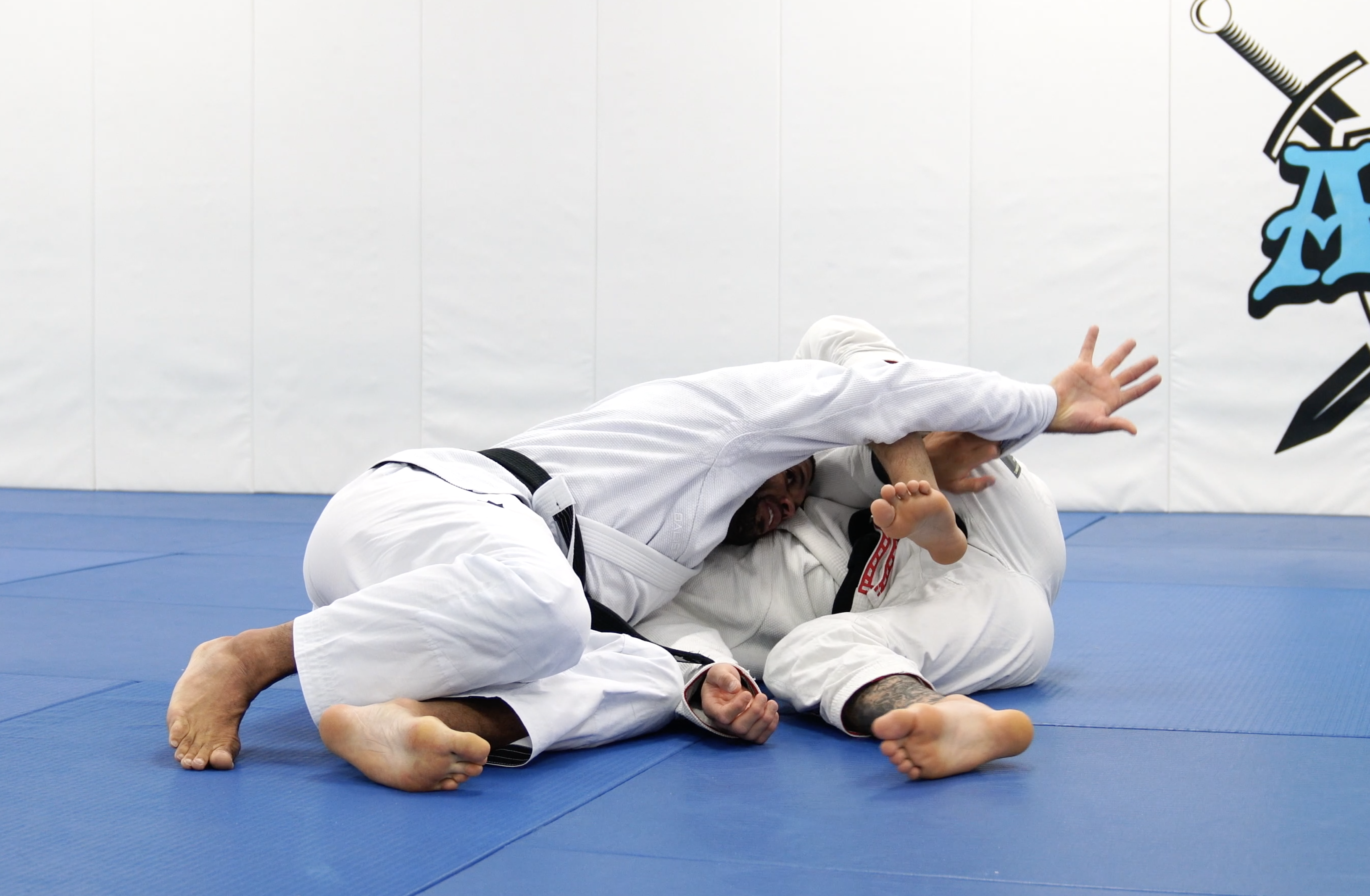 Back Step From Lasso Spider