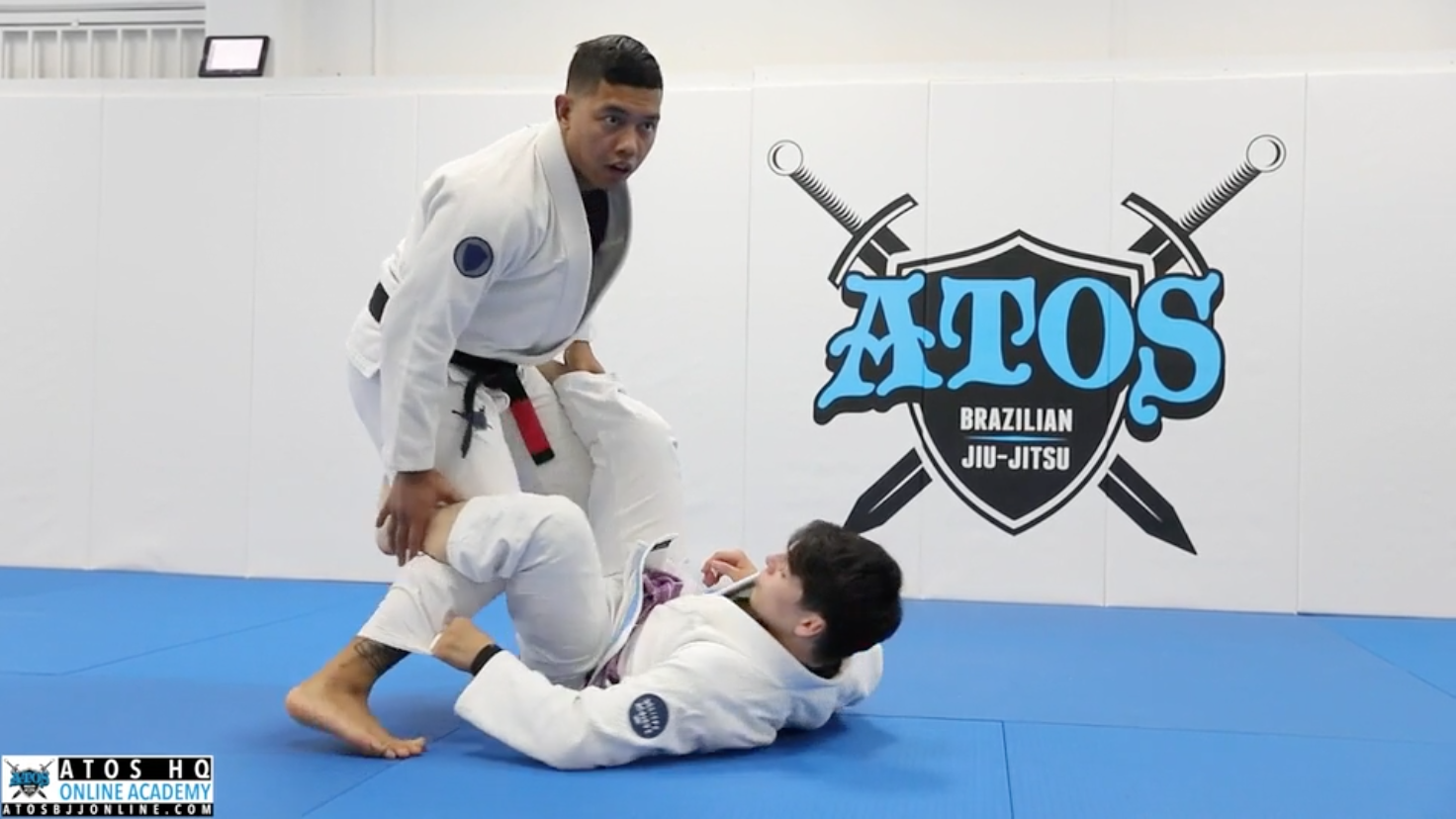 Knee Cut from the DLR Guard - Control Concepts & Details