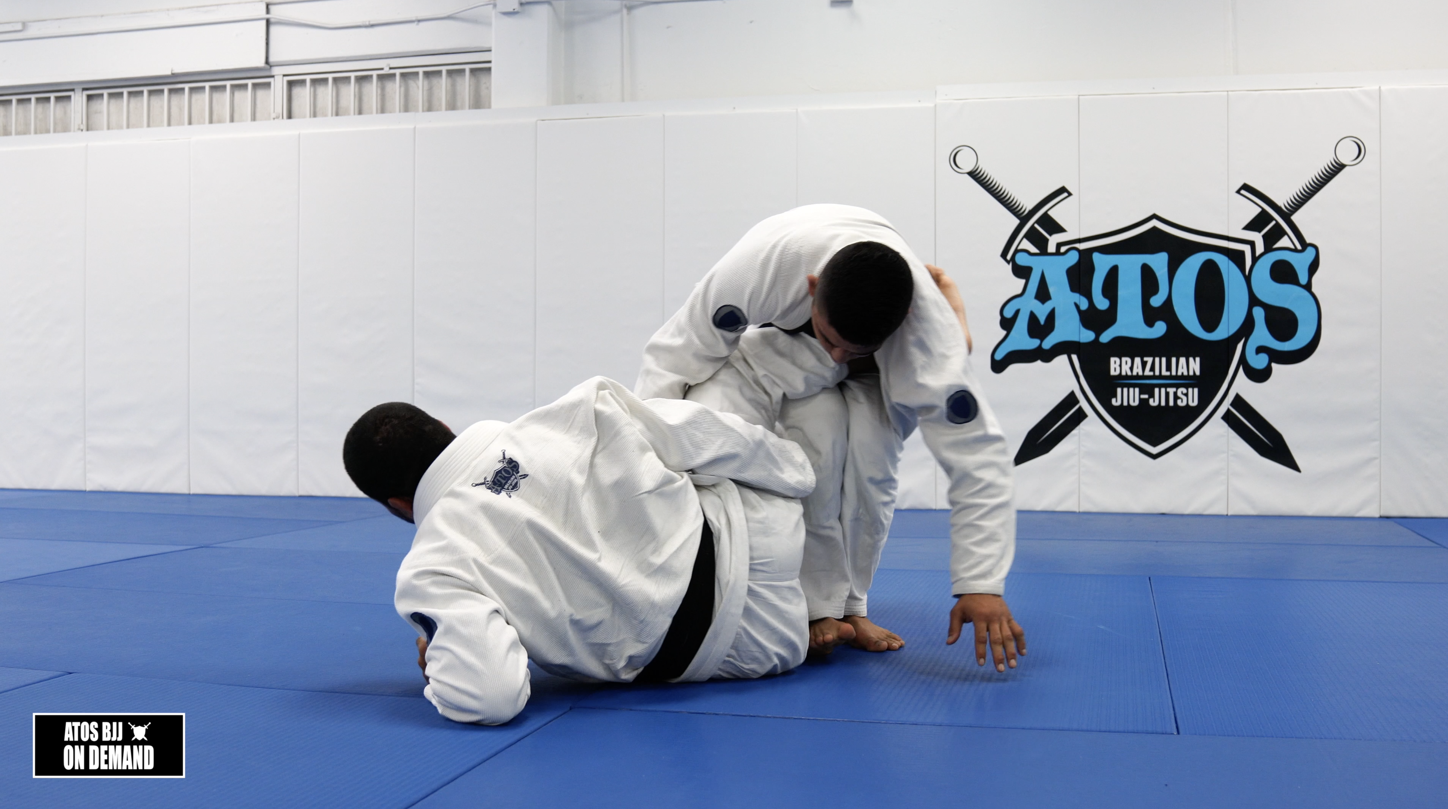 Mermaid Worm Guard Sweep With Submission Variations