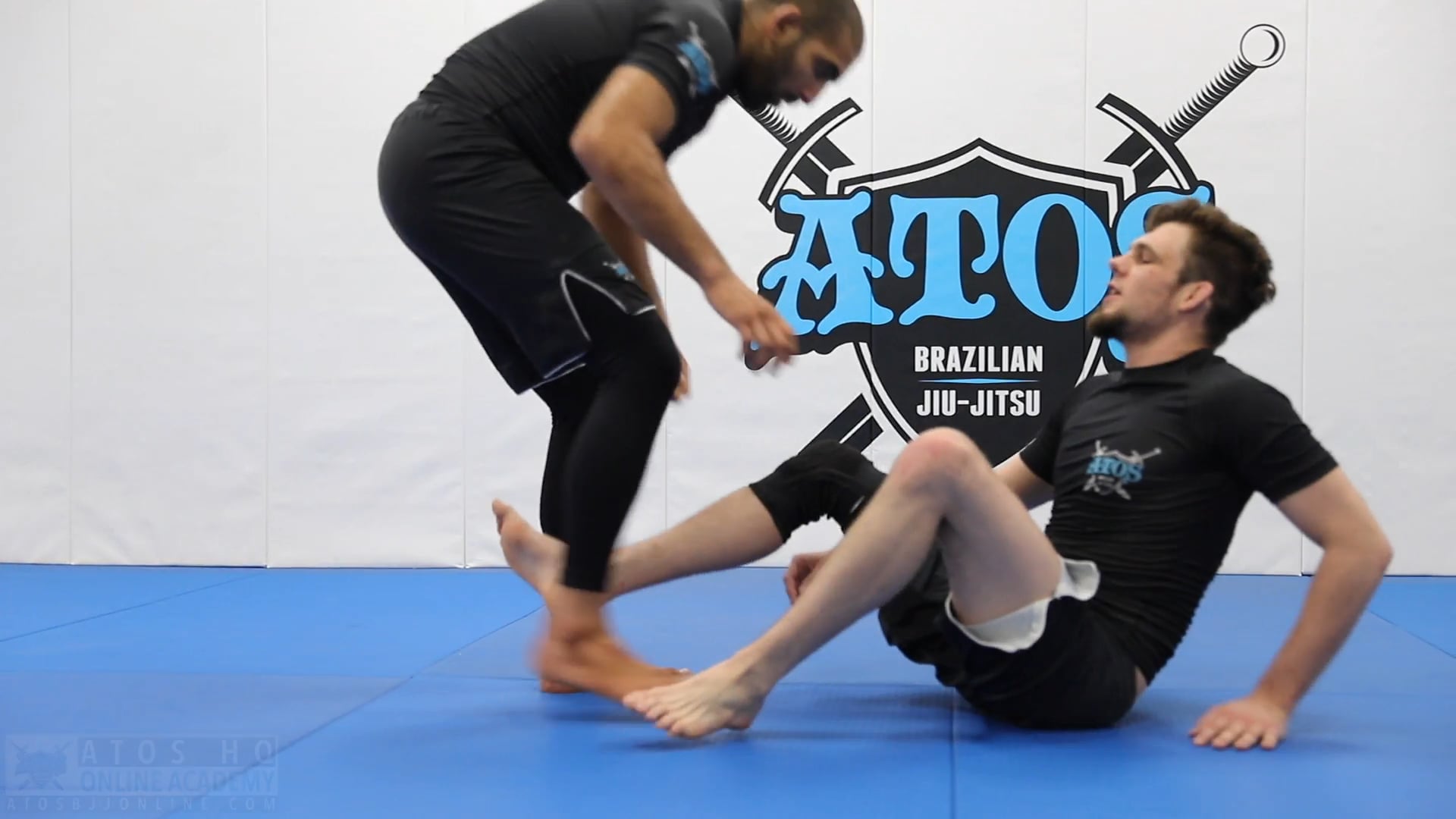 Powerful Heel Hooks from Reverse DLR Guard to Cross Ashi