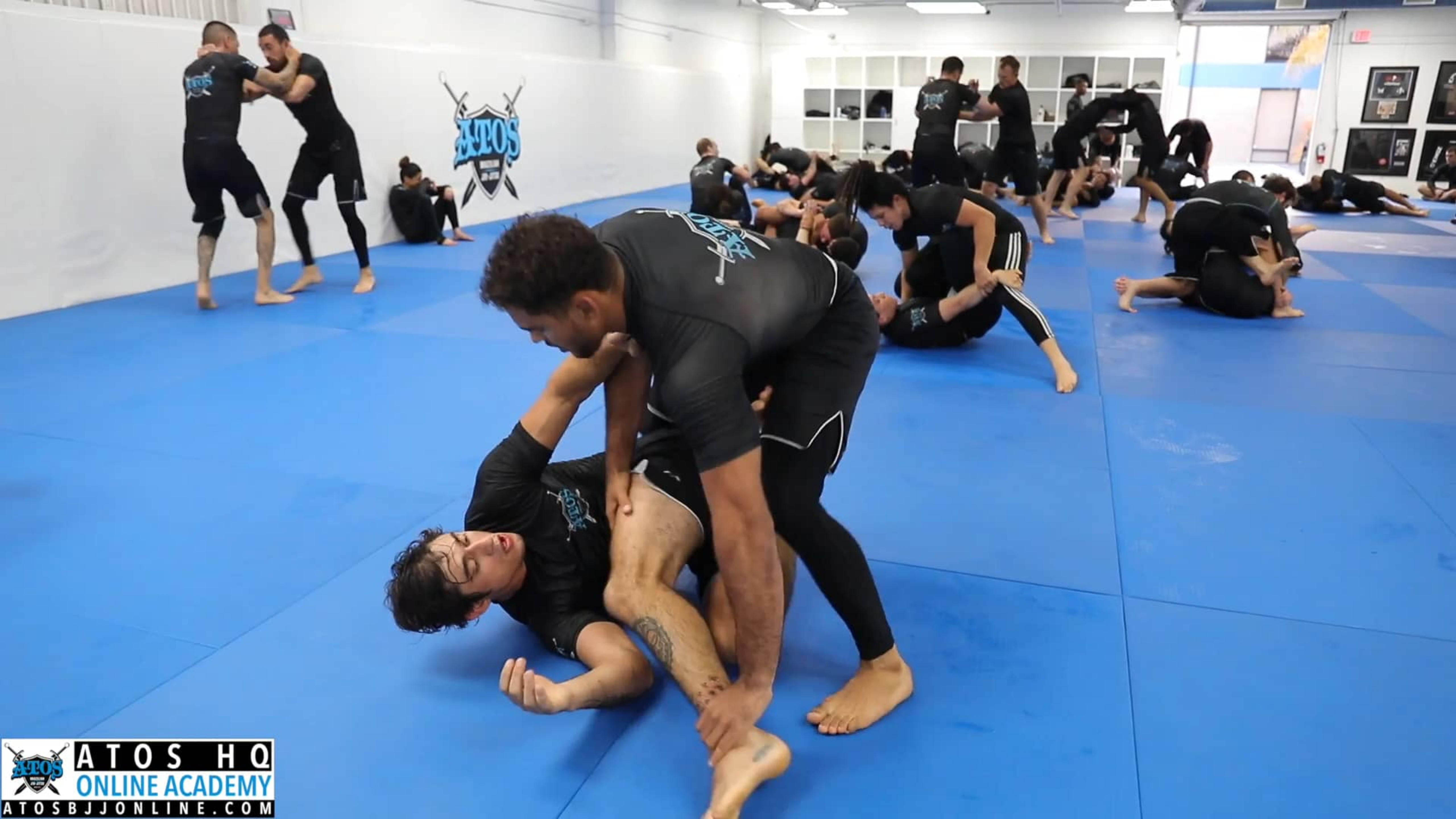 ADCC World Champion Kaynan Duarte Vs Calon Sabino 