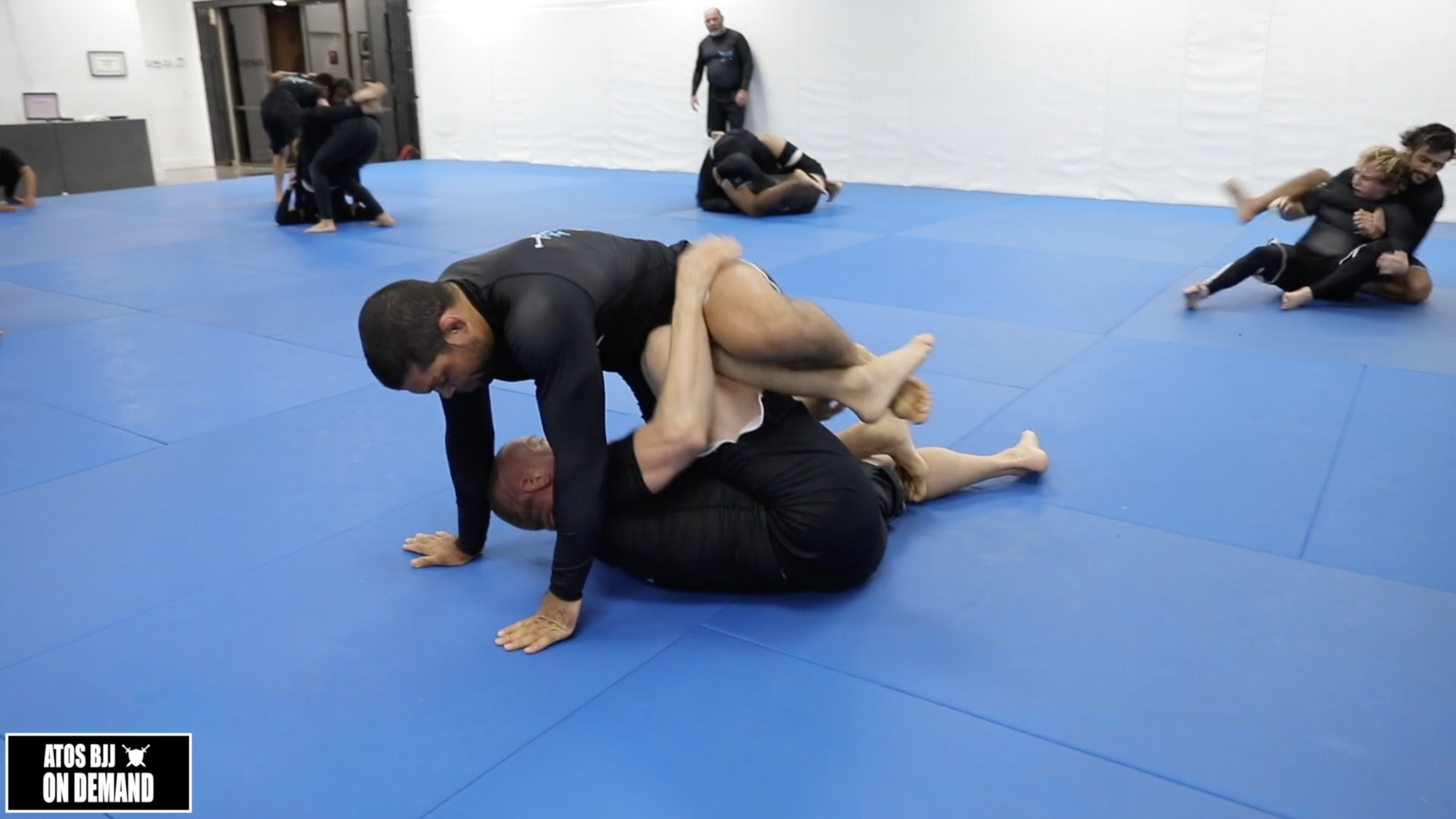 Andre Galvao X Sagrado 