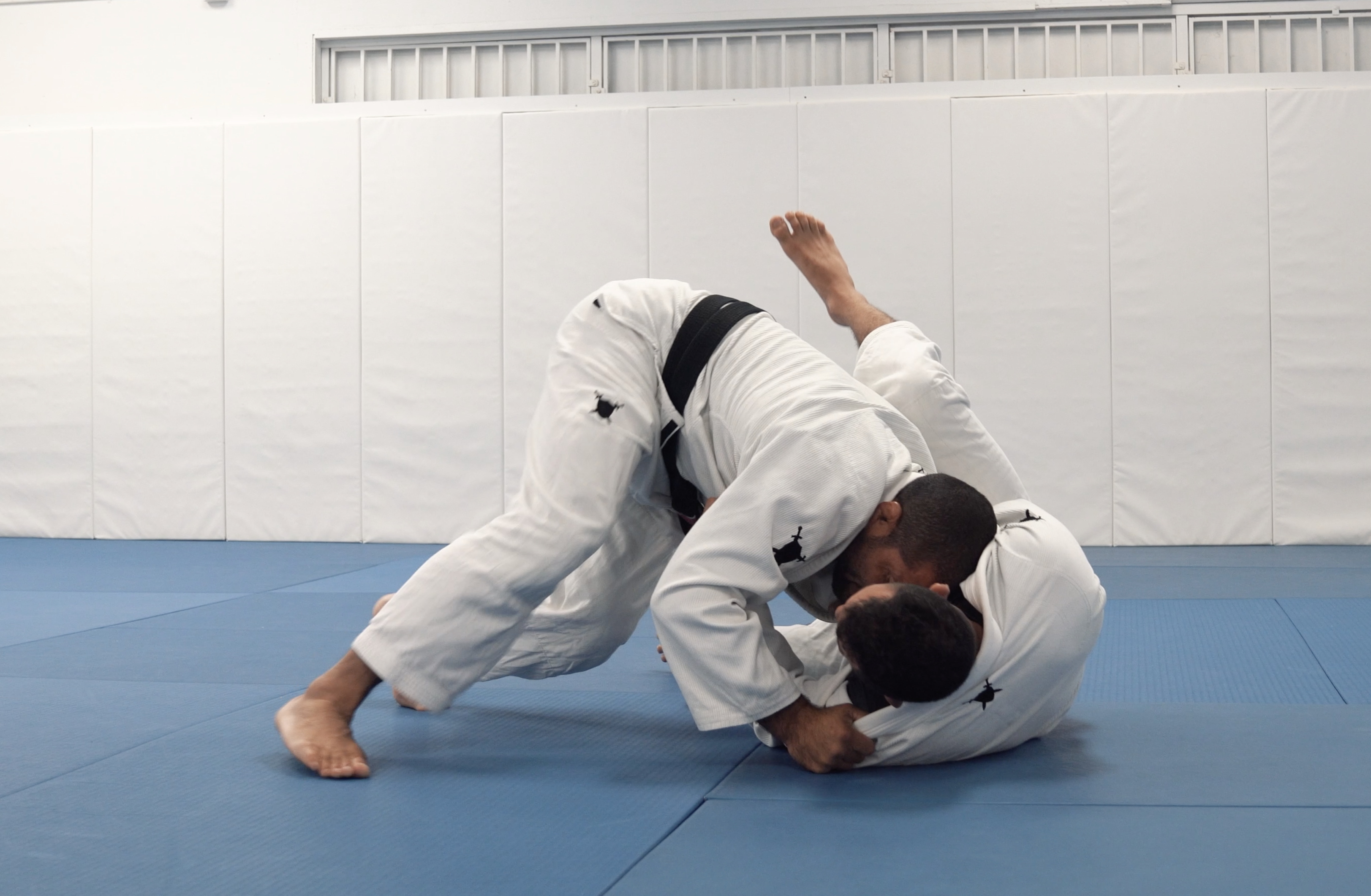 Crazy Dog Pass Variations | Part 1